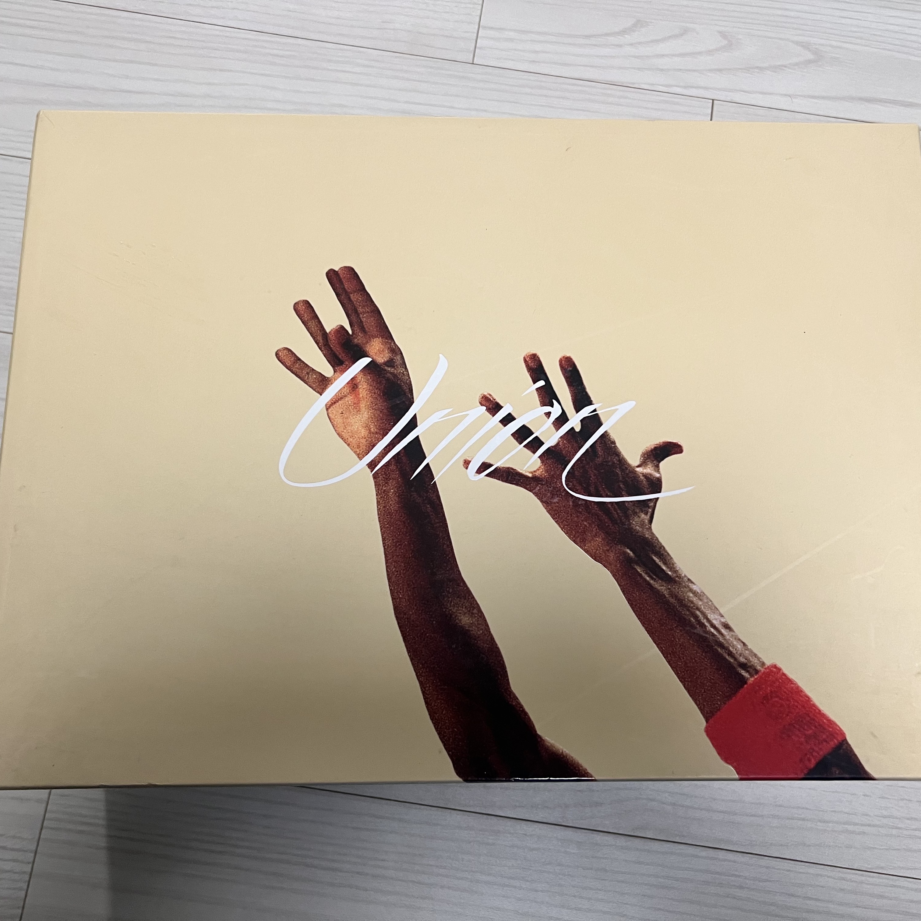 Jordan 4 x Union Retro SP Desert Moss 착용 스타일 - 6