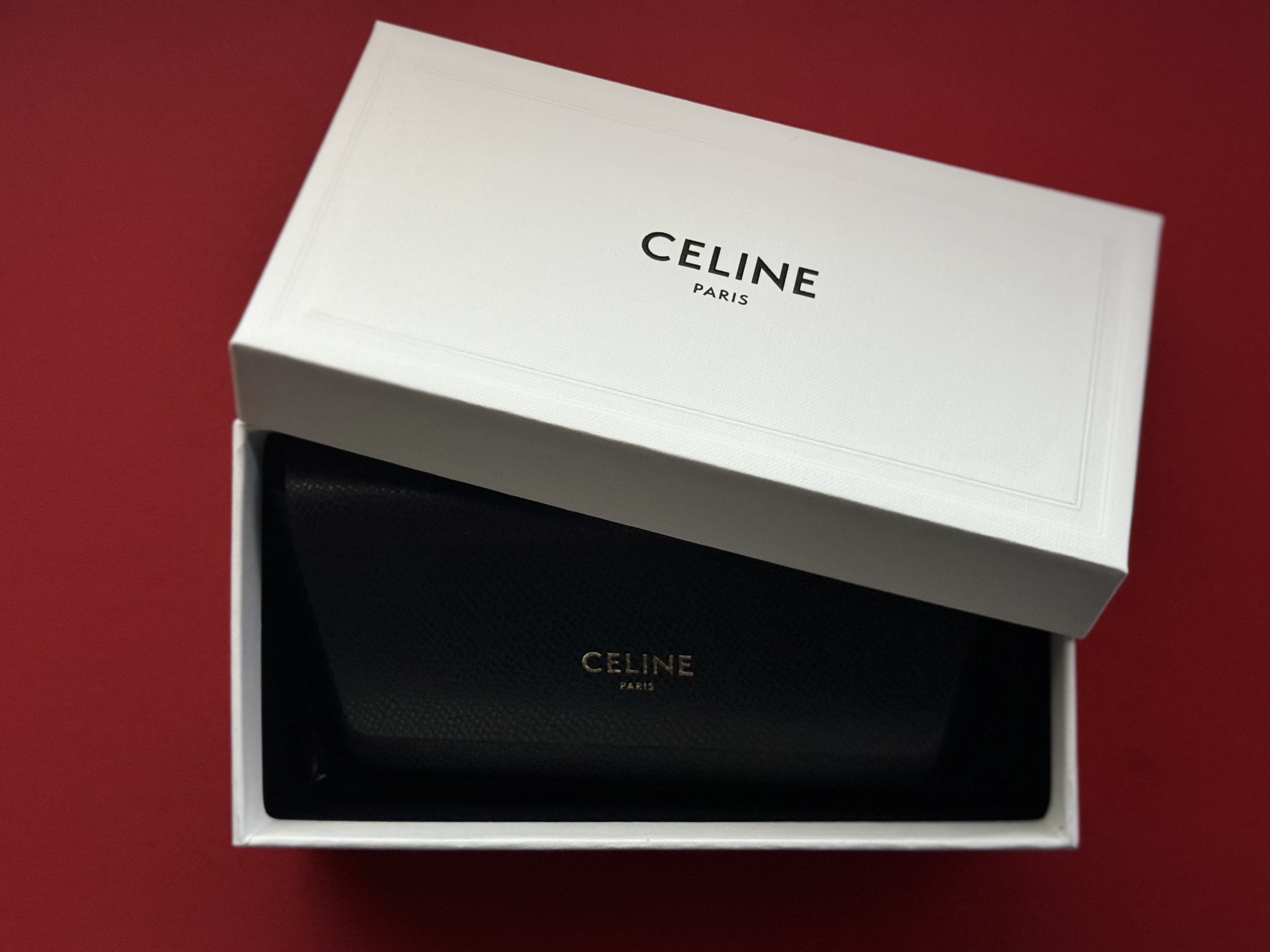 (W) Celine Triomphe 01 Sunglasses in Acetate Black 착용 스타일 - 2