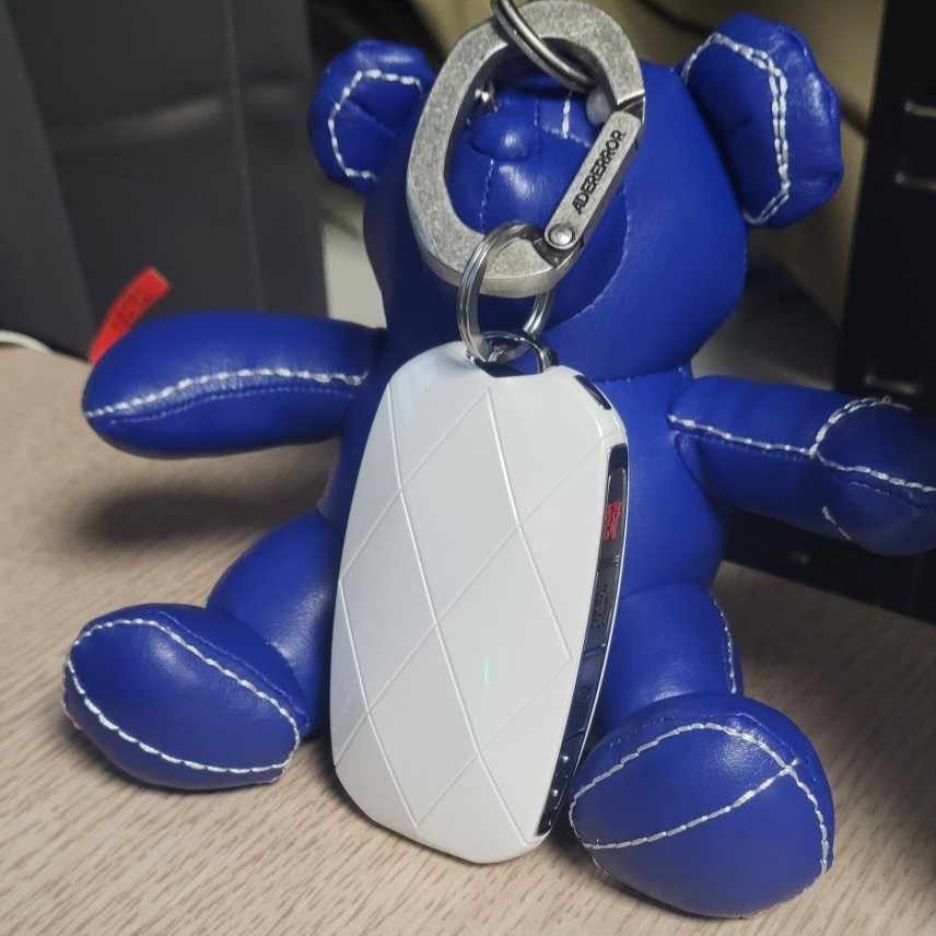 Ader Error Addy Bear Keyring Z-Blue 착용 스타일