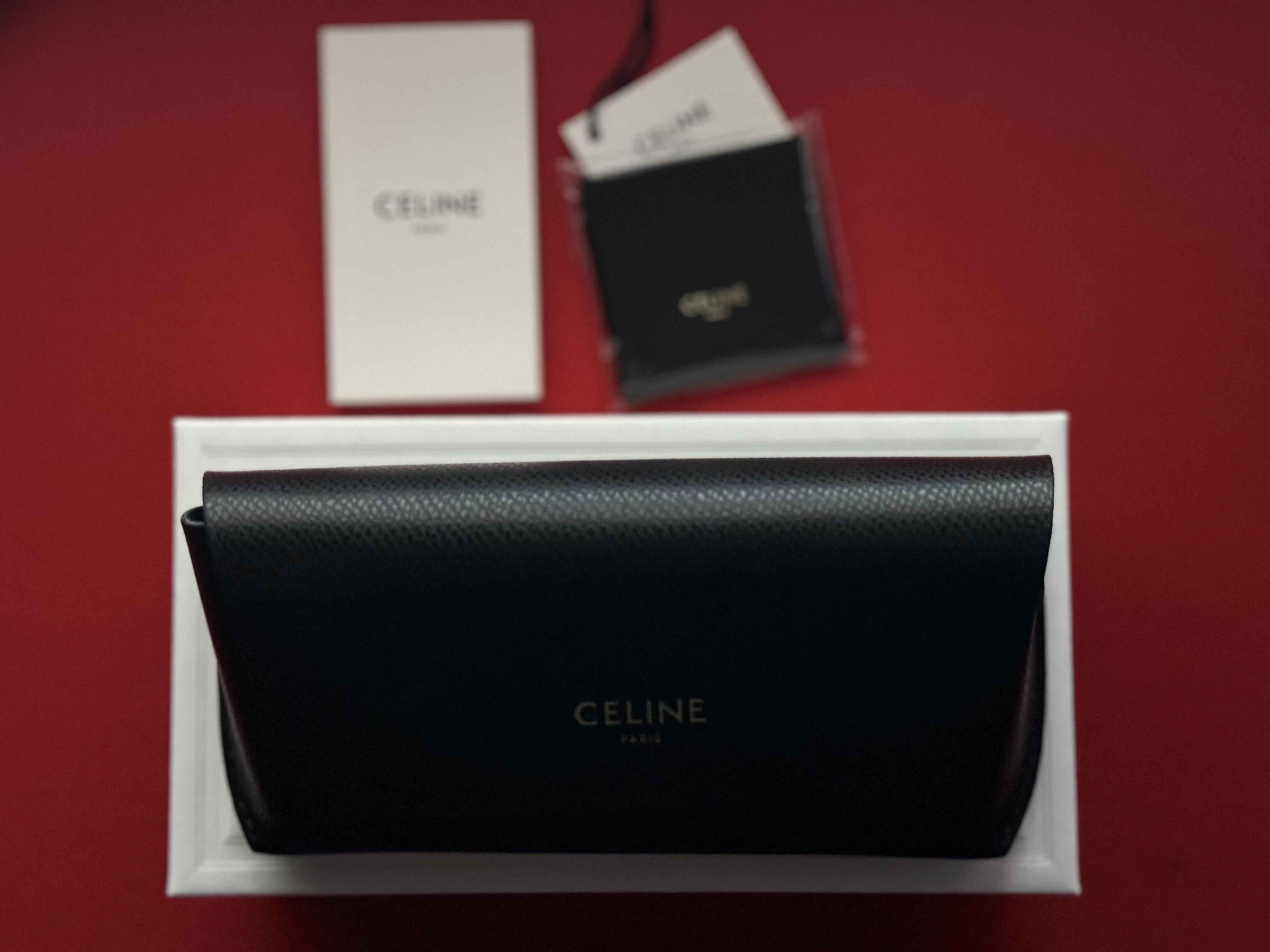 (W) Celine Triomphe 01 Sunglasses in Acetate Black 착용 스타일 - 3