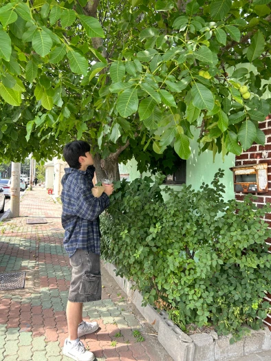 스타일 카드