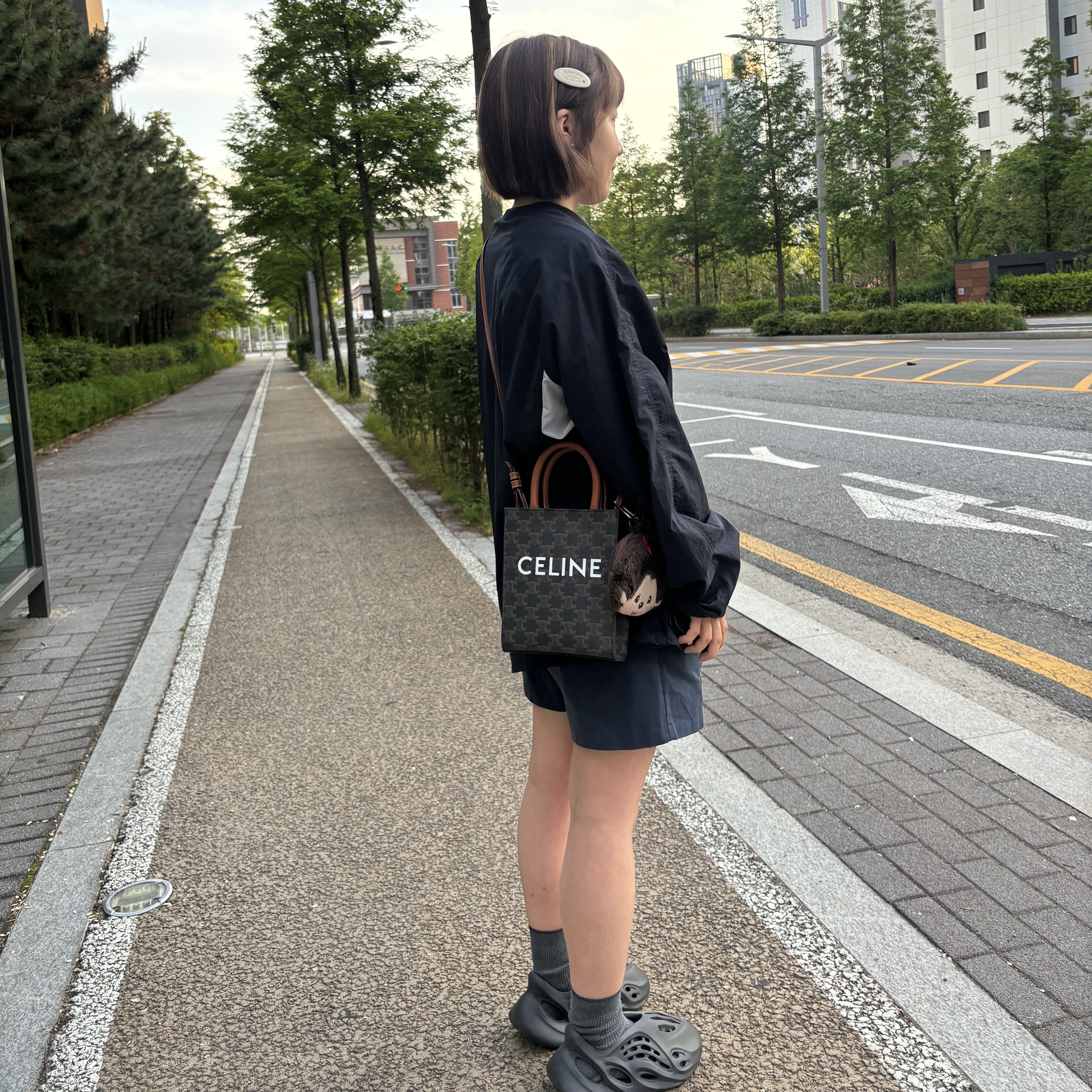 Celine Mini Vertical Cabas in Triomphe Canvas and Calfskin with Celine Print Tan 착용 스타일