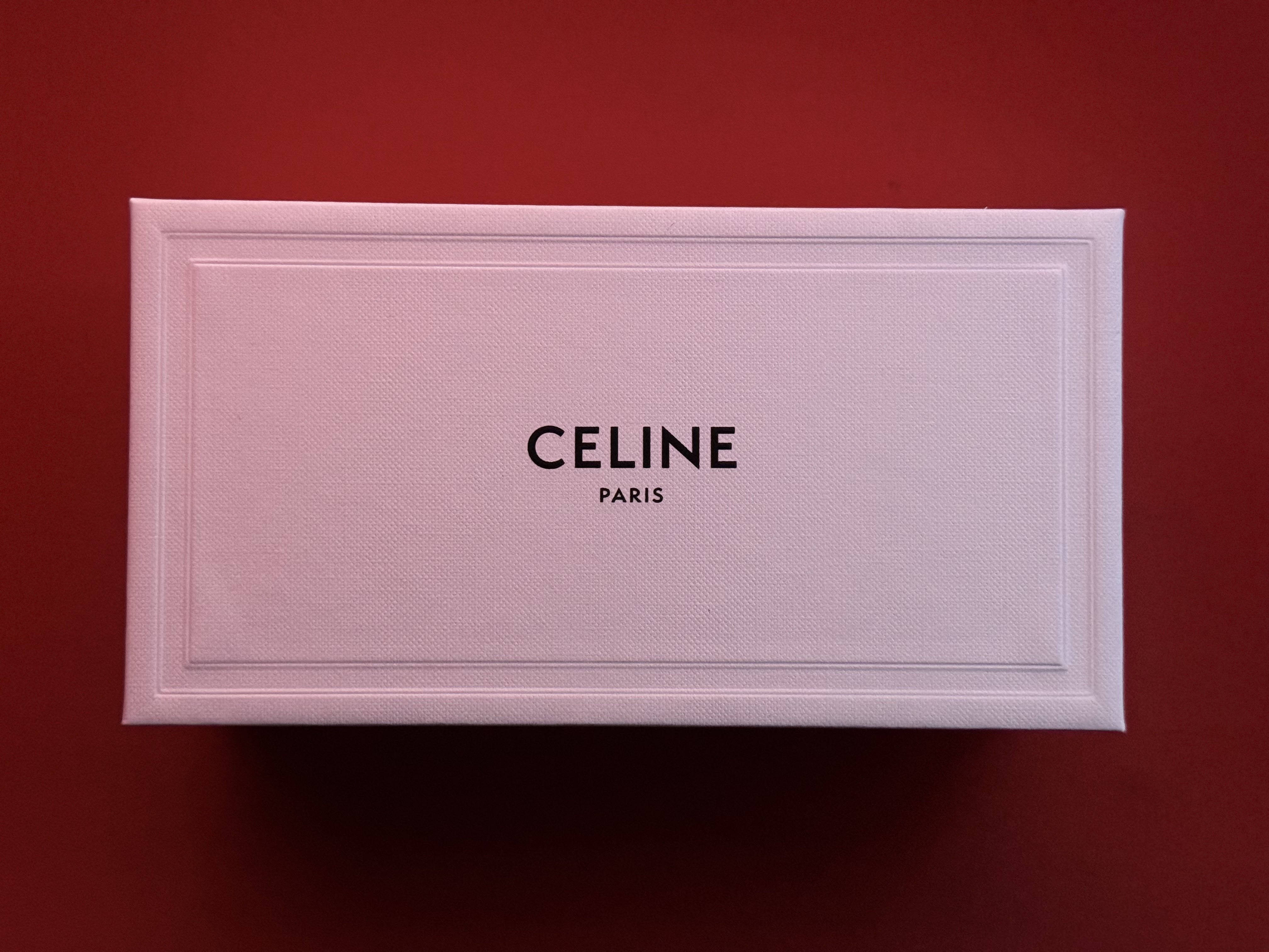 (W) Celine Triomphe 01 Sunglasses in Acetate Black 착용 스타일 - 1