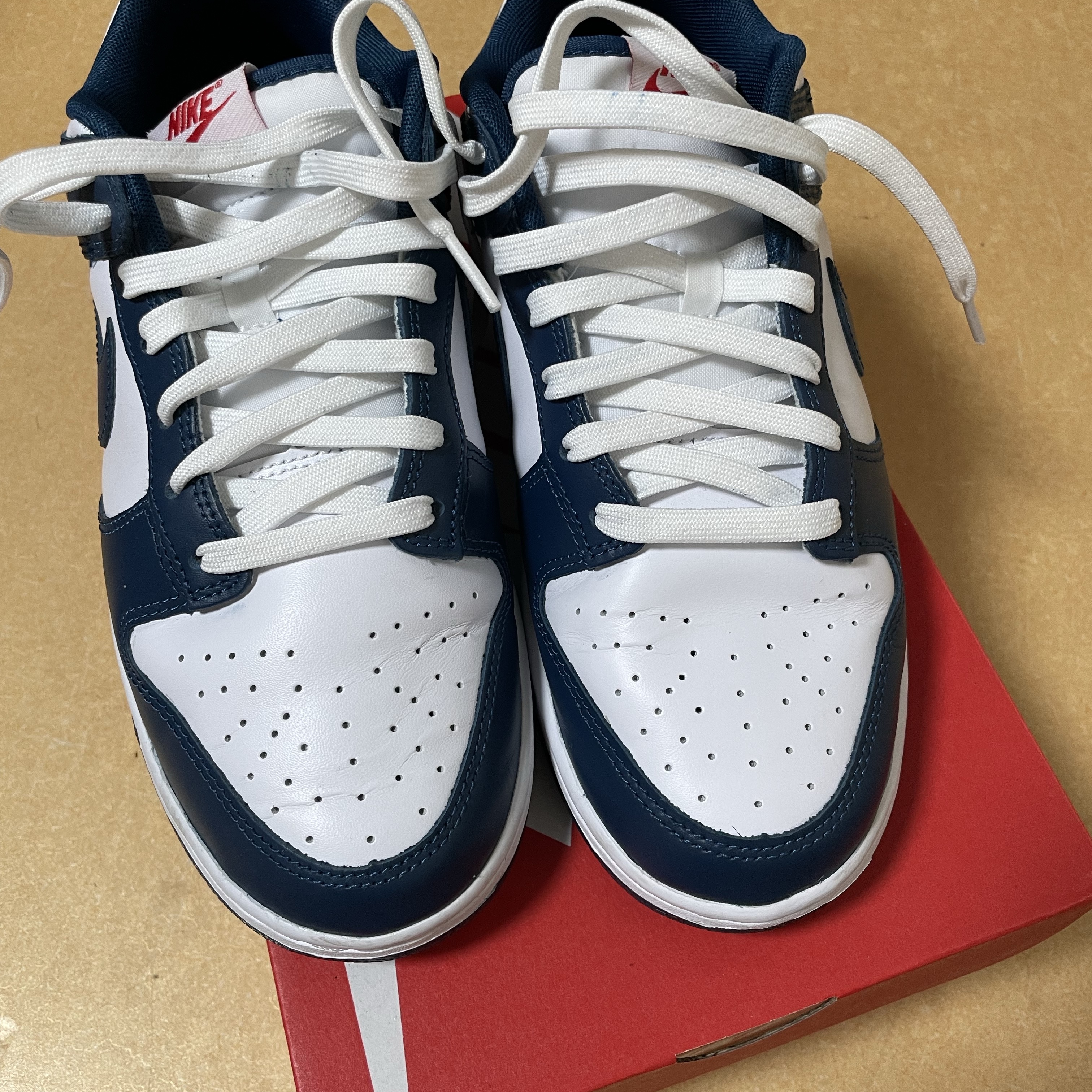 Nike Dunk Low Retro Valerian Blue 착용 스타일
