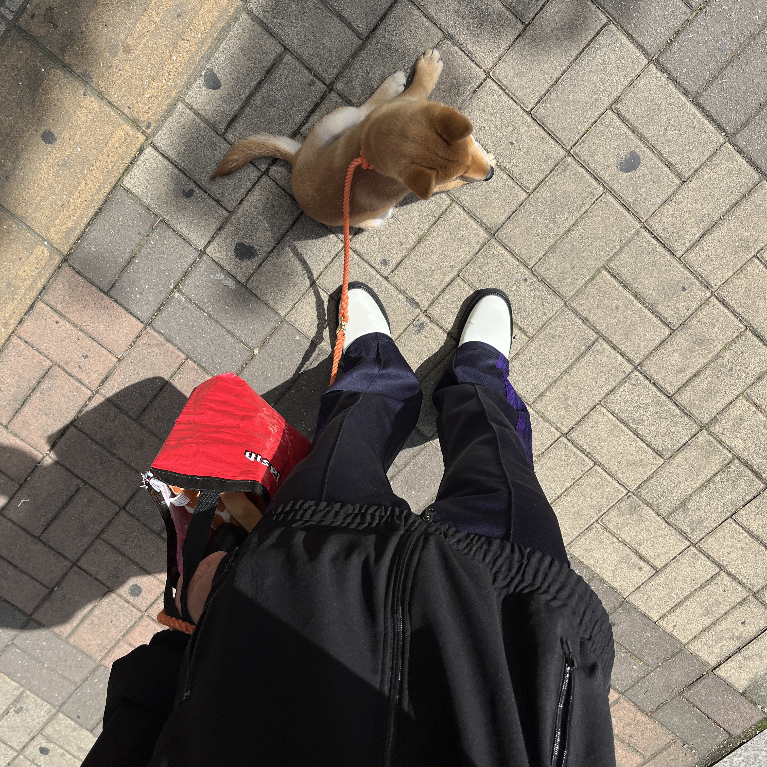 Needles Boot-Cut Track Pants Poly Smooth Navy 착용 스타일 - 2