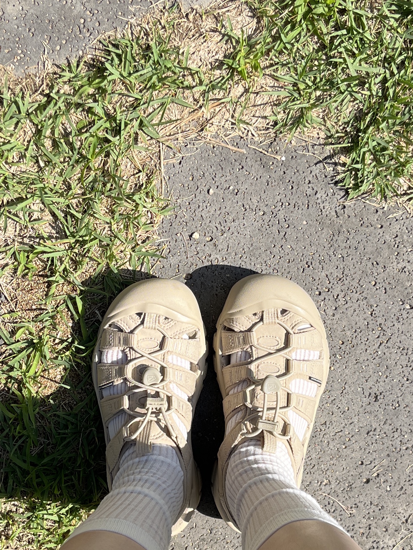 (W) Keen Newport H2 Monochrome Safari 착용 스타일 - 2