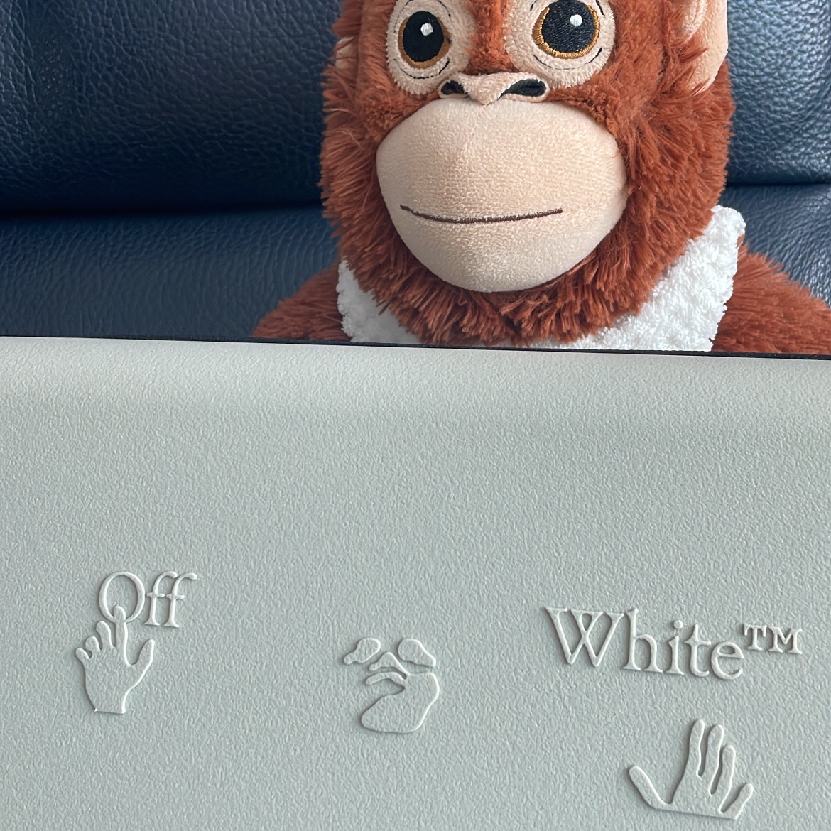 Off-White x Amore Pacific Protection Box (Without Cosmetics) 착용 스타일