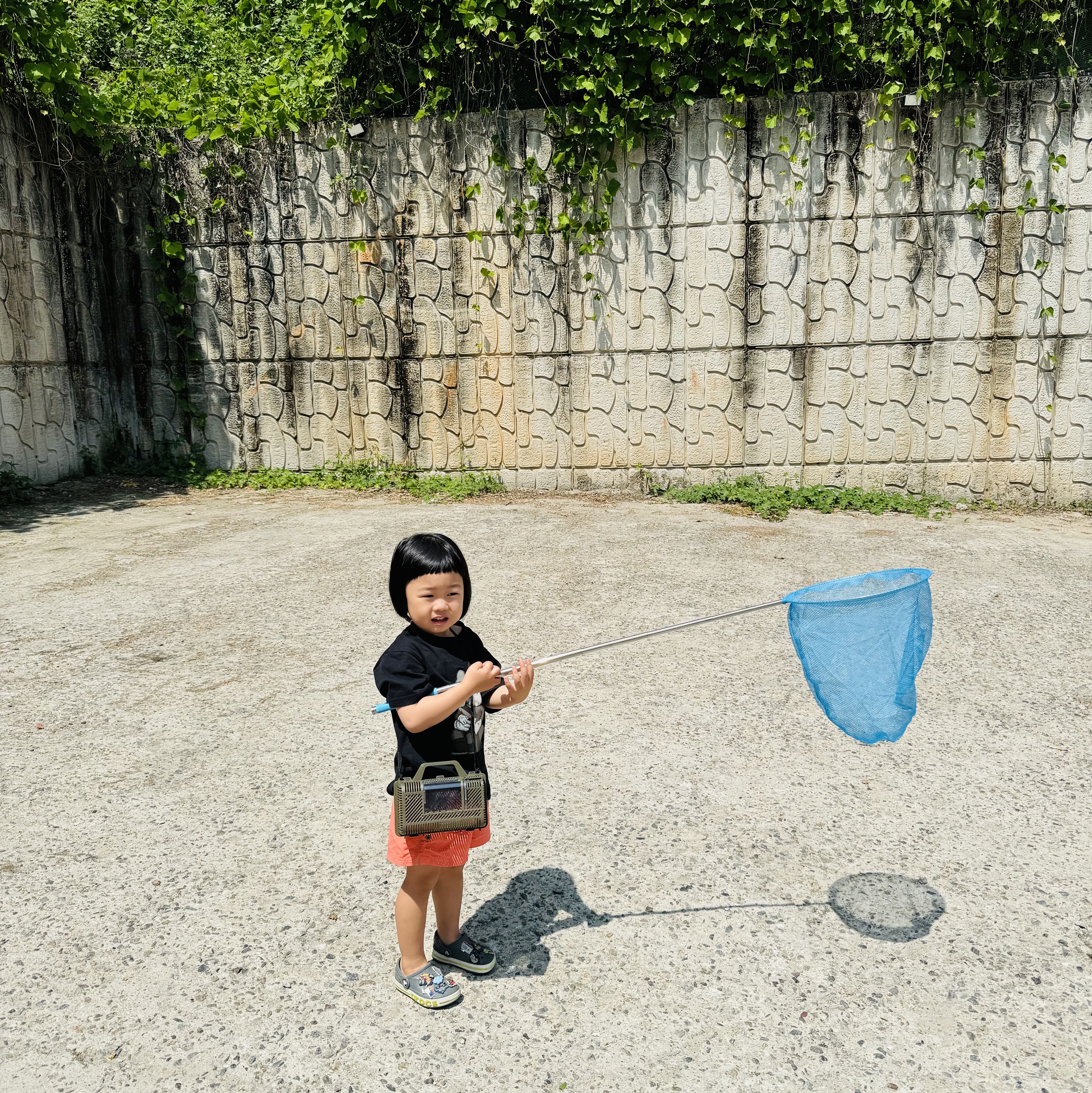 (Kids) Crocs Bayaband Clog Slate Grey Lime Punch, (Kids) Patagonia Costa Rica Baggies Boardshorts 3 Inch Unlined Coho Coral 착용 스타일 - 3