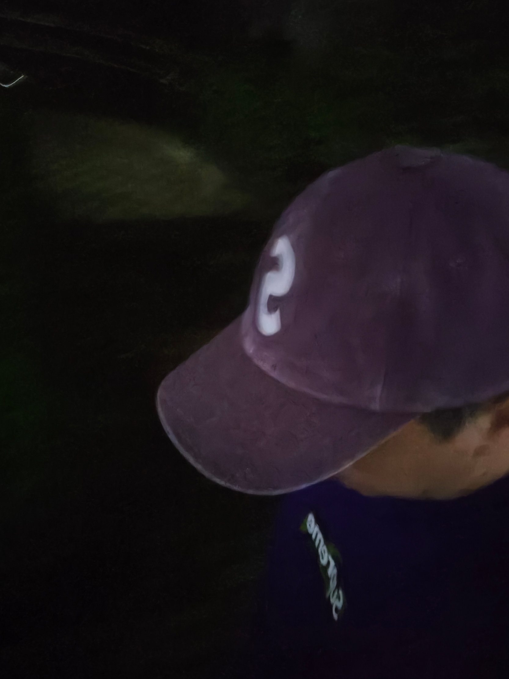 Supreme Pigment Print S Logo 6-Panel Brown - 23FW, Supreme Box Logo T-Shirt Purple - 23FW 착용 스타일