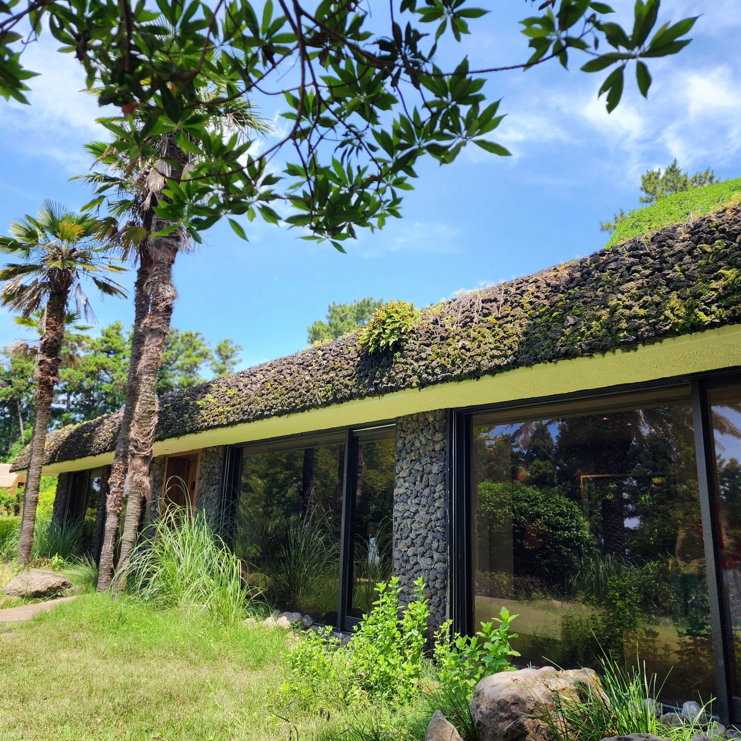 (W) Jordan 1 x Travis Scott Retro Low OG SP Canary, Uniqlo x Marni Wide Fit Boxy Short Pants Pattern Blue - KR 착용 스타일 - 2