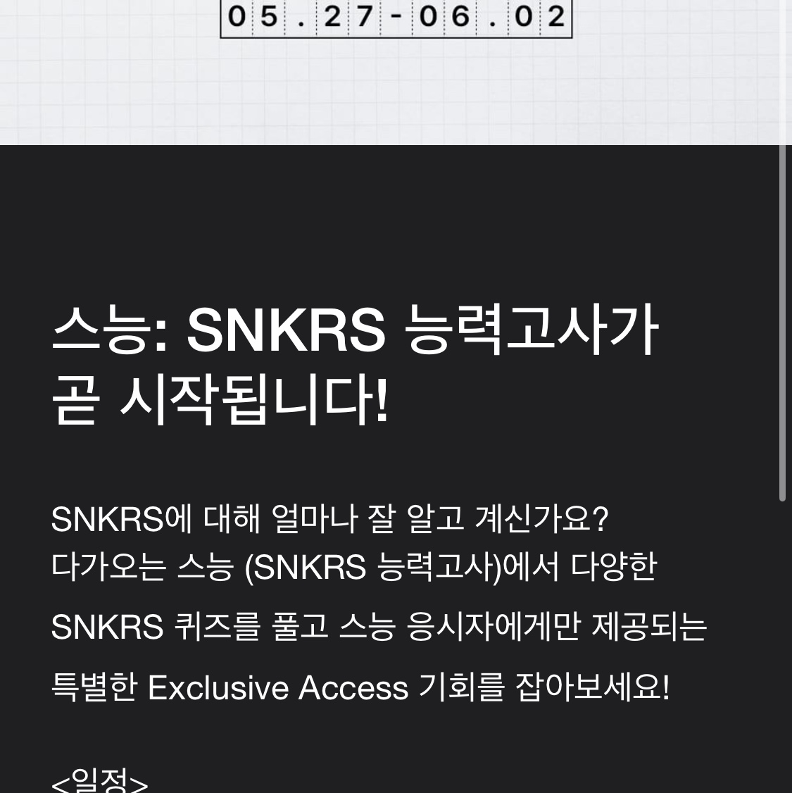 Nike SB Dunk Low Pro Chicago 착용 스타일