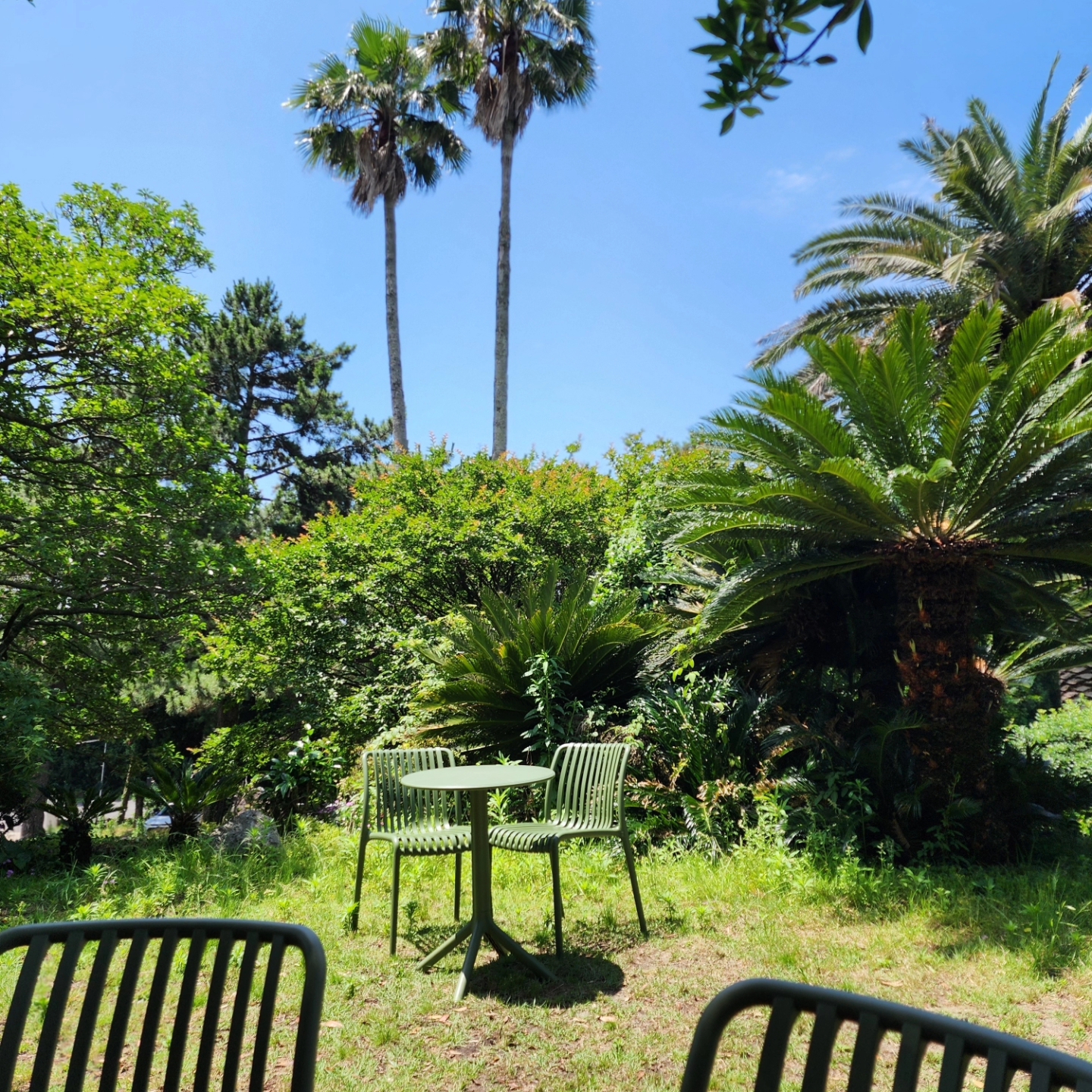 (W) Jordan 1 x Travis Scott Retro Low OG SP Canary, Uniqlo x Marni Wide Fit Boxy Short Pants Pattern Blue - KR 착용 스타일 - 3