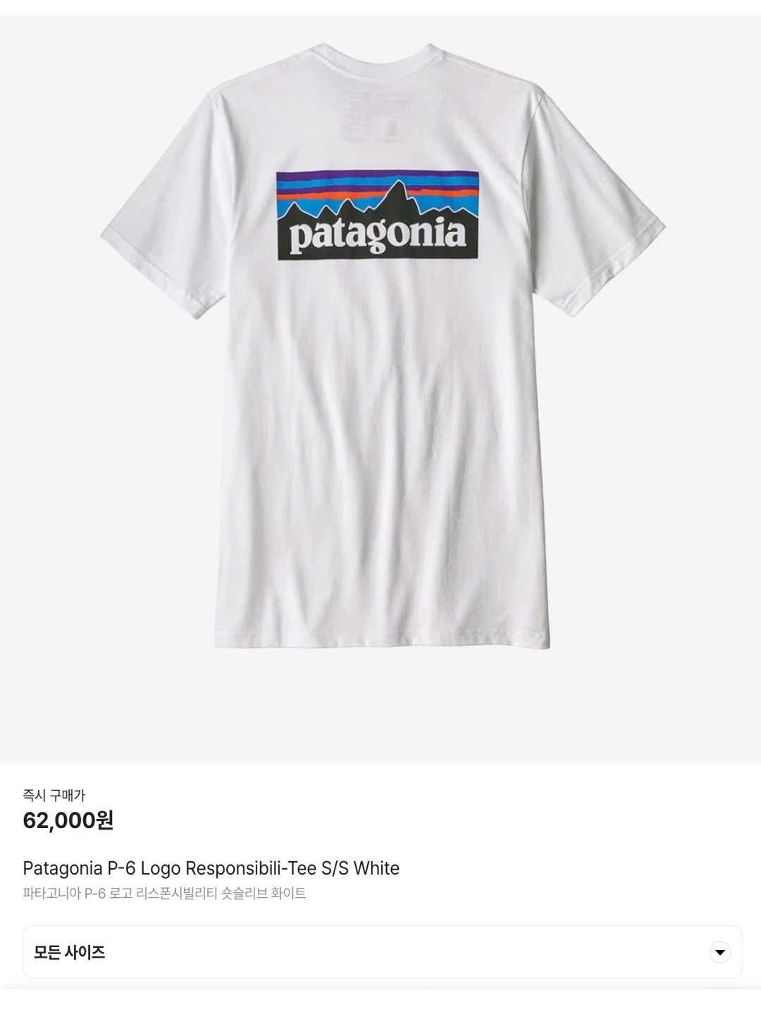 Patagonia P-6 Logo Responsibili-Tee S/S White, Patagonia Summit Swell Organic T-Shirt Birch White 착용 스타일 - 7