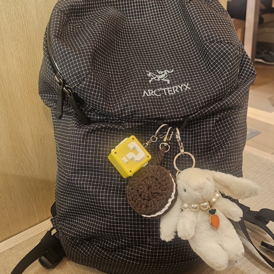 Jellycat Bashful Bunny Bag Charm Cream, Arc'teryx Konseal 15 Backpack Black 착용 스타일