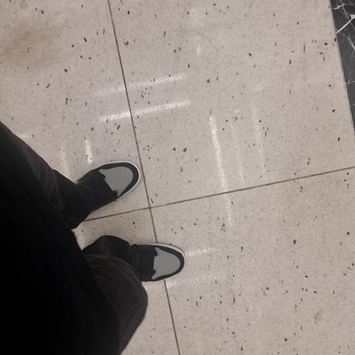 Jordan 1 Retro Low OG Shadow 착용 스타일