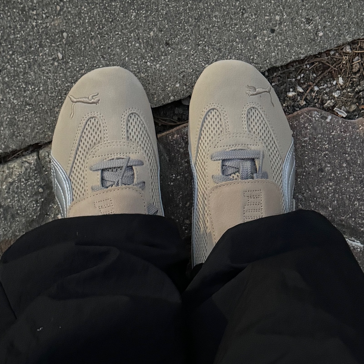 Puma x Open Yy Speedcat Prairie Tan Matte Silver 착용 스타일