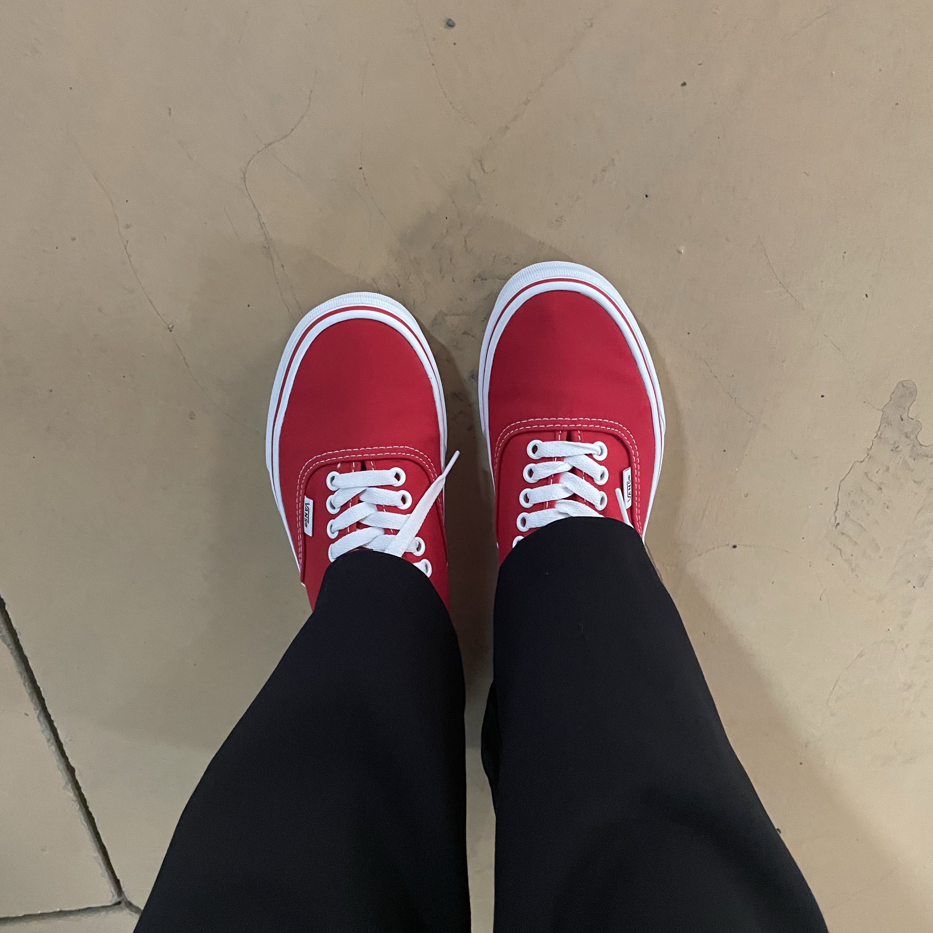 Vans Authentic Red 착용 스타일 - 5