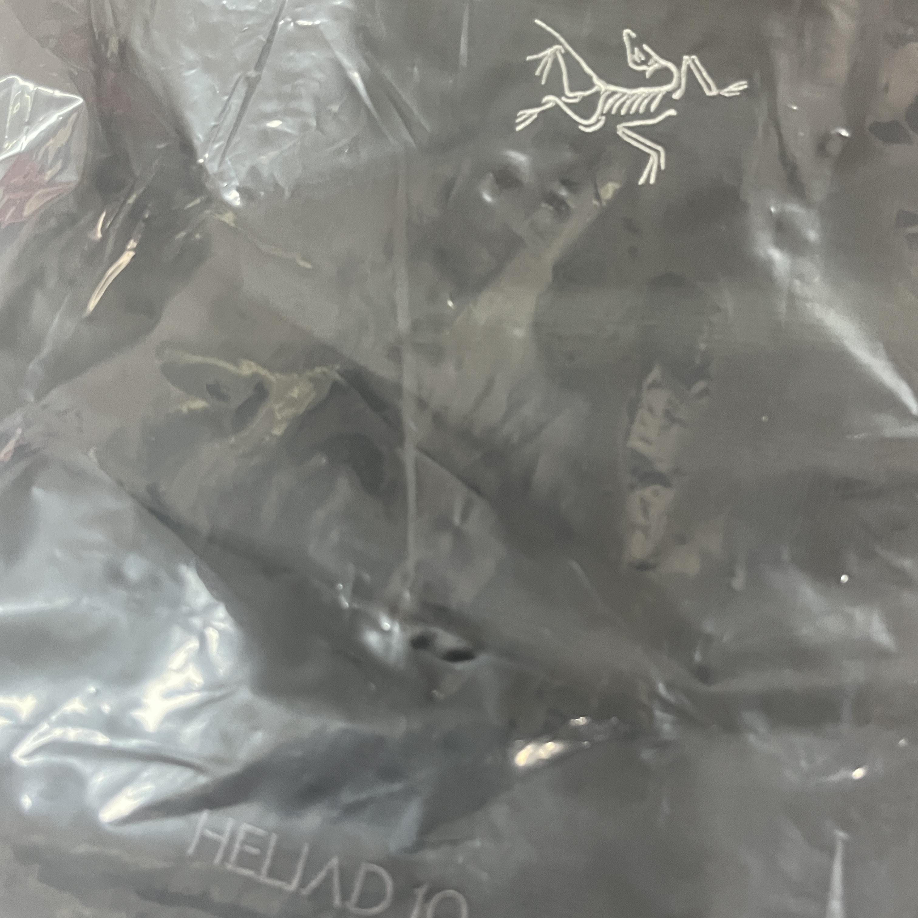 Arc'teryx Heliad 10 Backpack Black 착용 스타일
