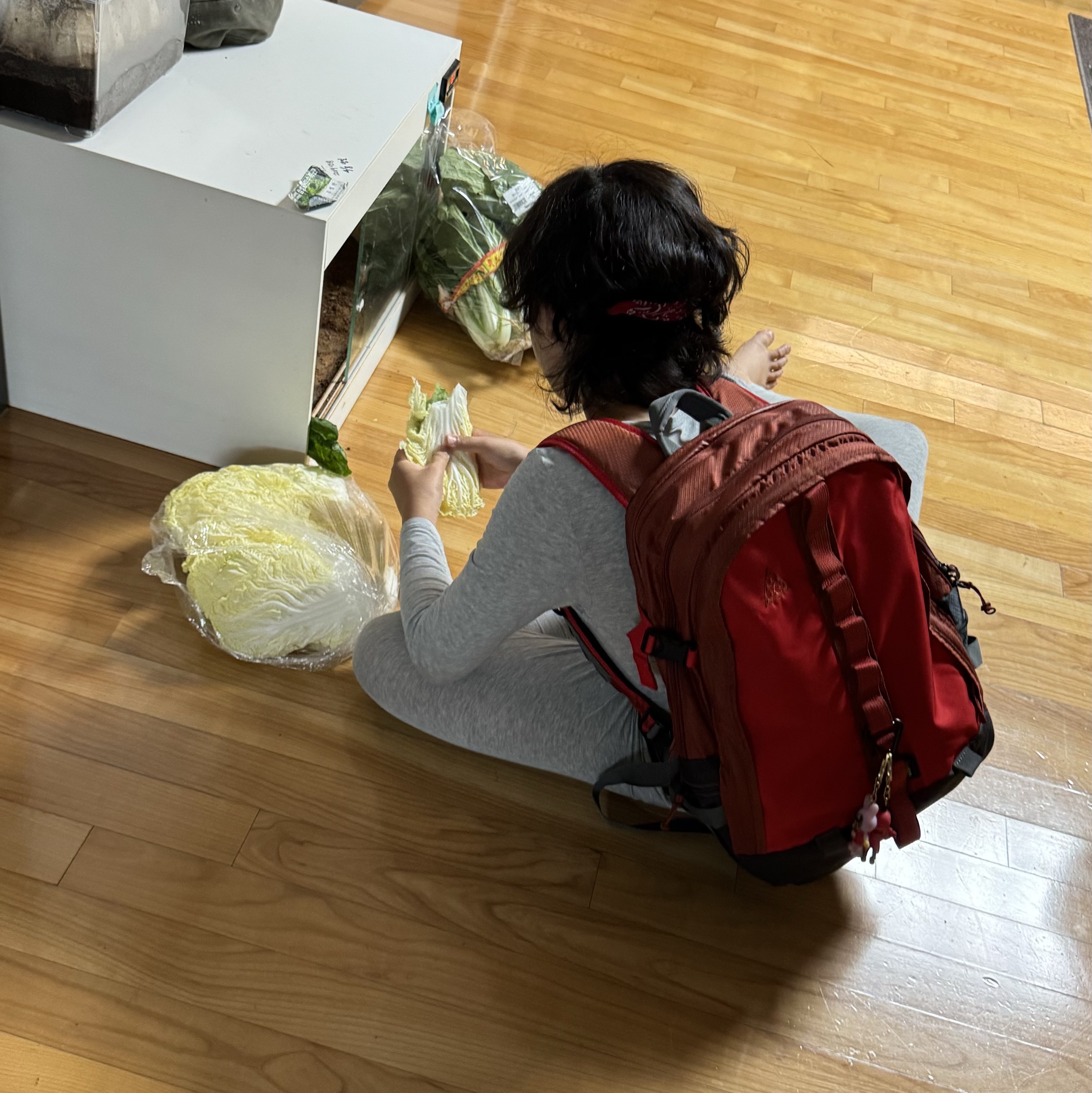 Nike ACG Karst Backpack Red Stone 착용 스타일 - 2