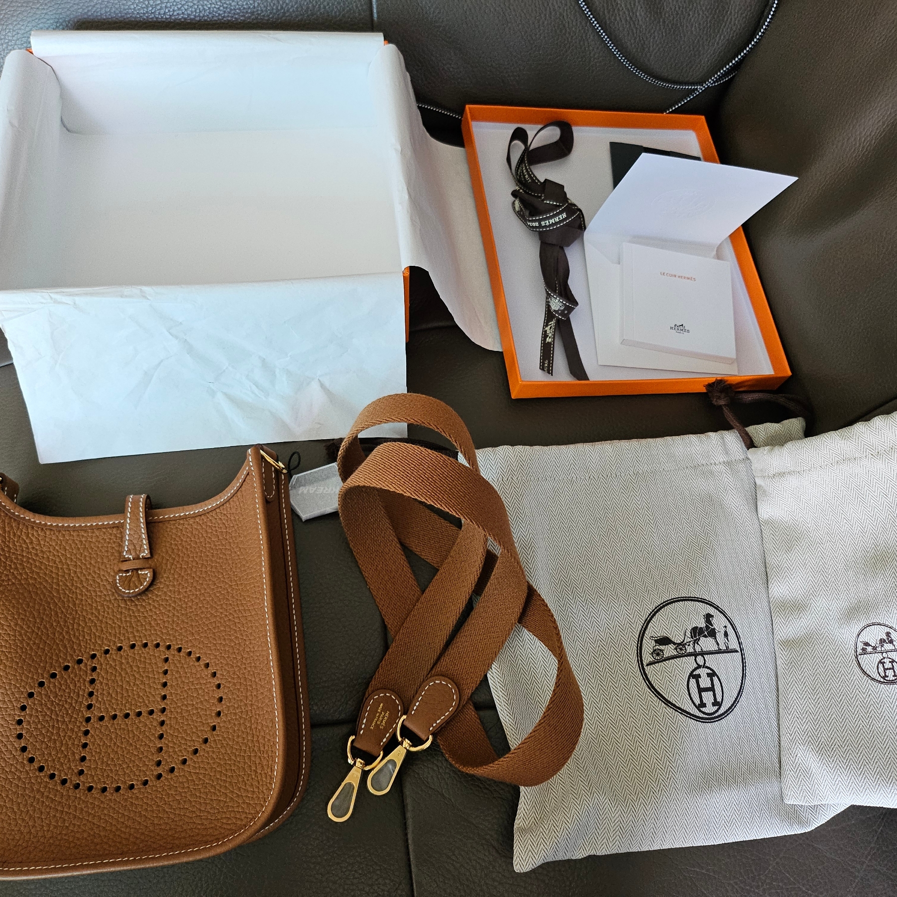 Hermes Evelyne 16 Amazone Bag Clemence & Gold 착용 스타일