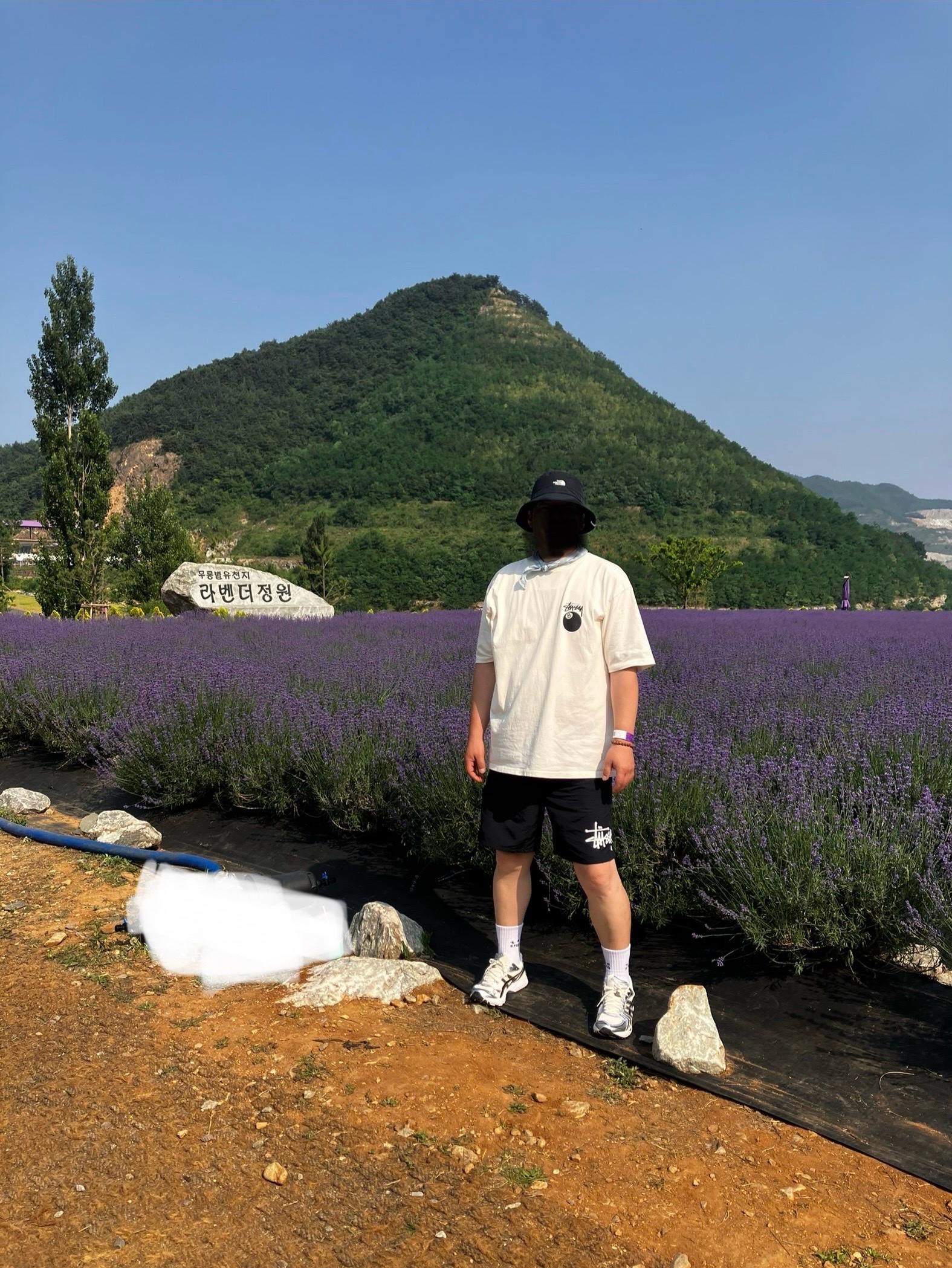 Stussy 8 Ball Pigment Dyed T-Shirt Natural, Stussy Big Basic Water Shorts Black 착용 스타일 - 1