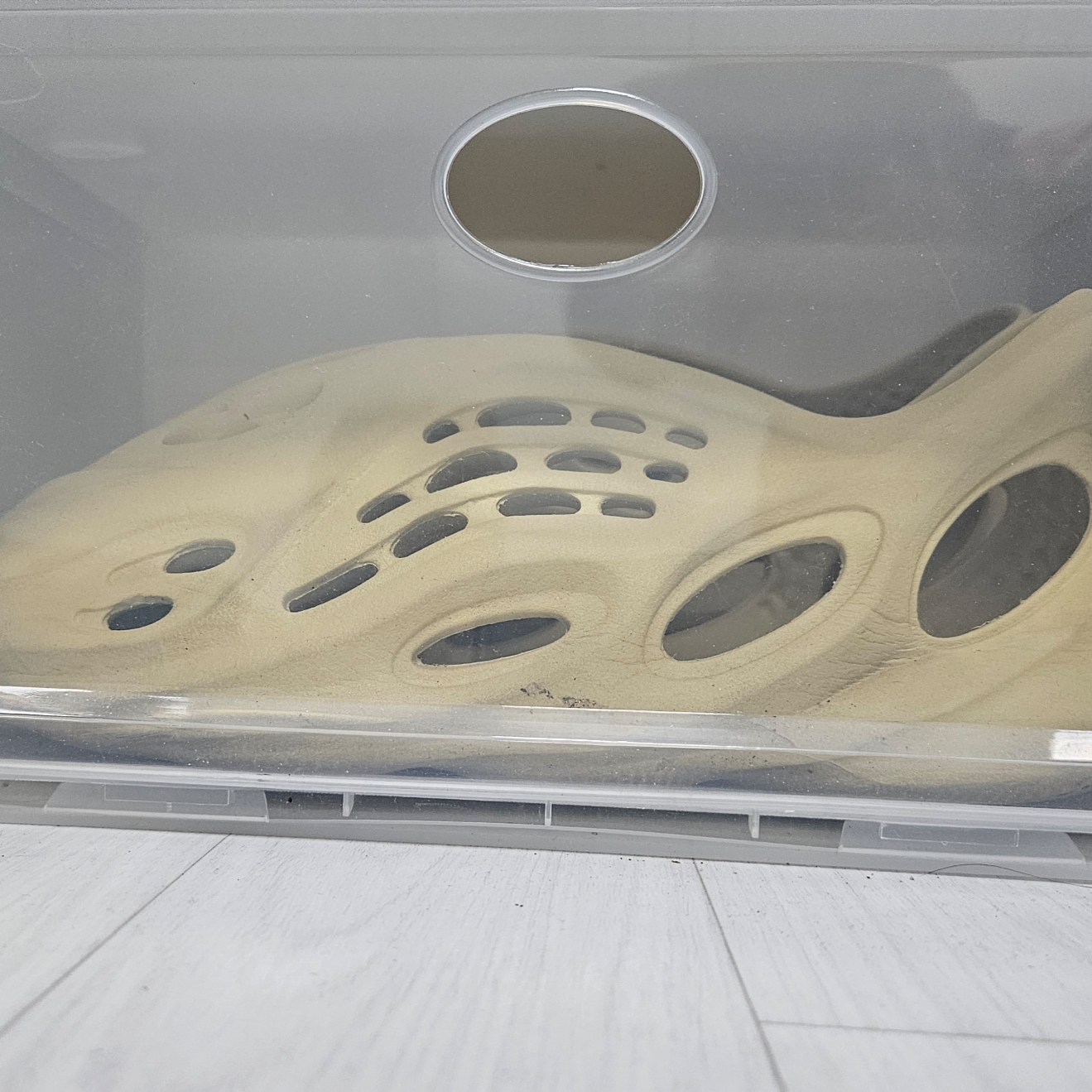 Adidas Yeezy Foam RNNR Sulfur 착용 스타일