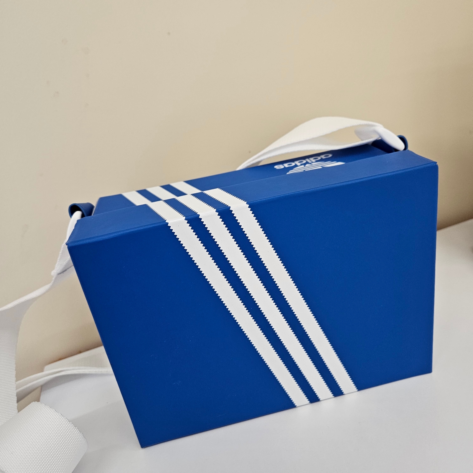 Adidas x Kseniaschnaider Shoebox Bag Blue Bird 착용 스타일 - 3