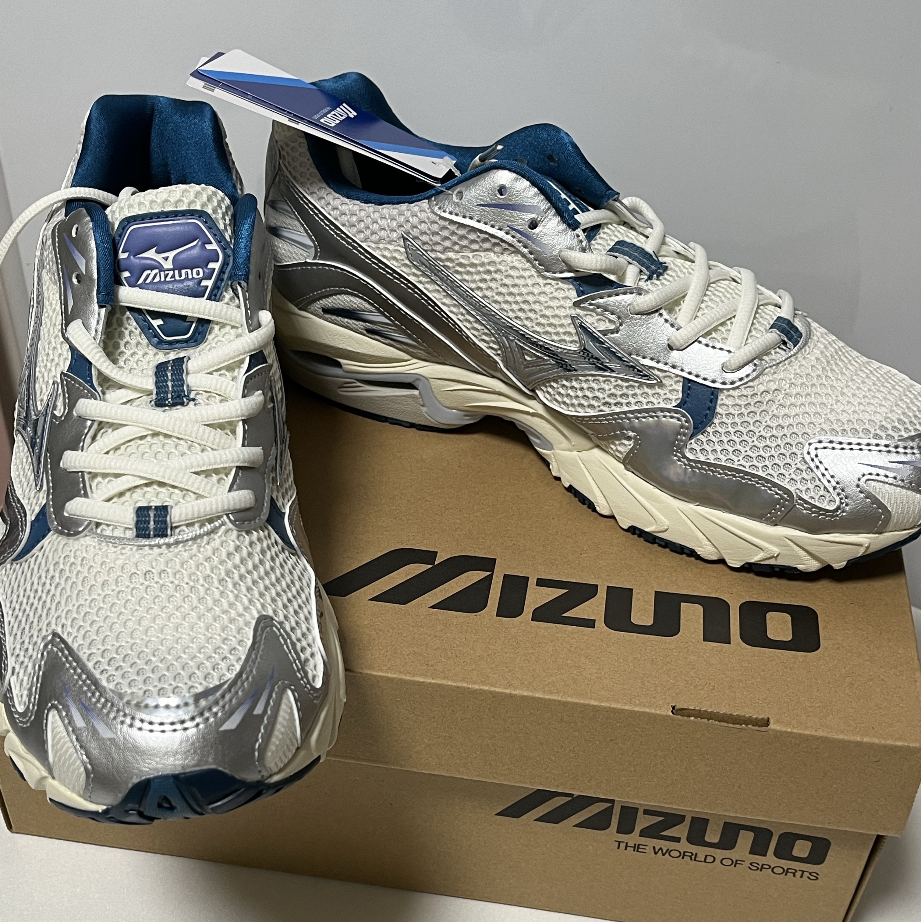 Mizuno Wave Rider 10 Arctic Ice 착용 스타일