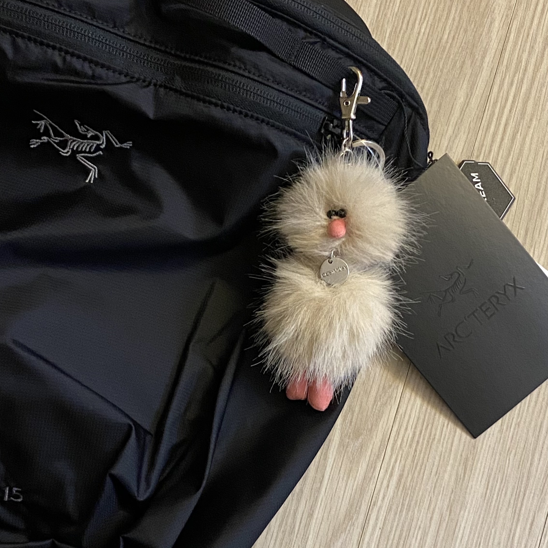 Arc'teryx Heliad 15 Backpack Black, Cosymosy Mini Bird Bird Keyring Oatmeal 착용 스타일