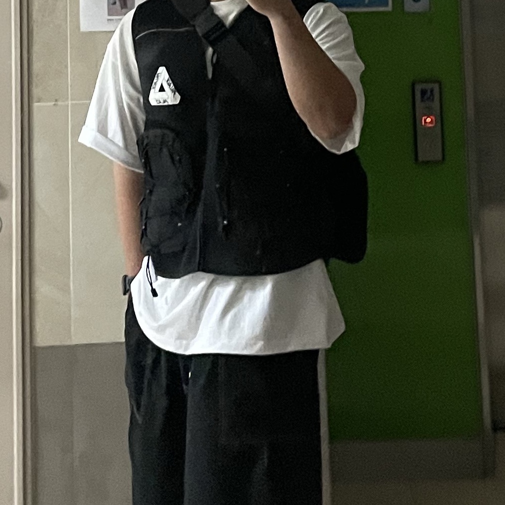 Palace Hydro Vest Black - 23SS 착용 스타일