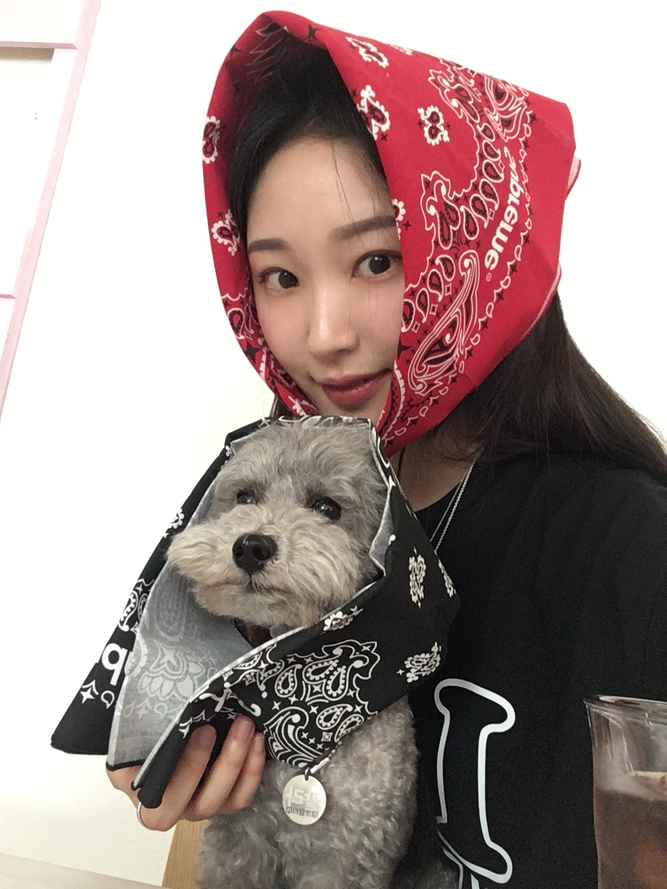 Supreme Hav-A-Hank Bandanas Multicolor (Set of 3) - 24SS 착용 스타일