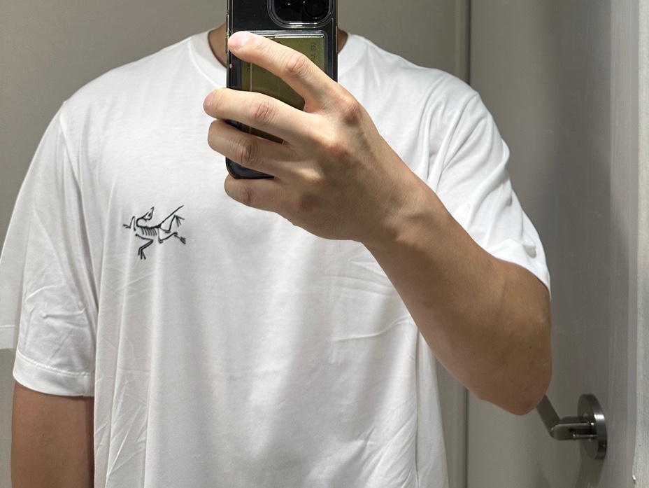Arc'teryx Arc'Multi Bird Logo SS T-Shirt White Light 착용 스타일 - 2