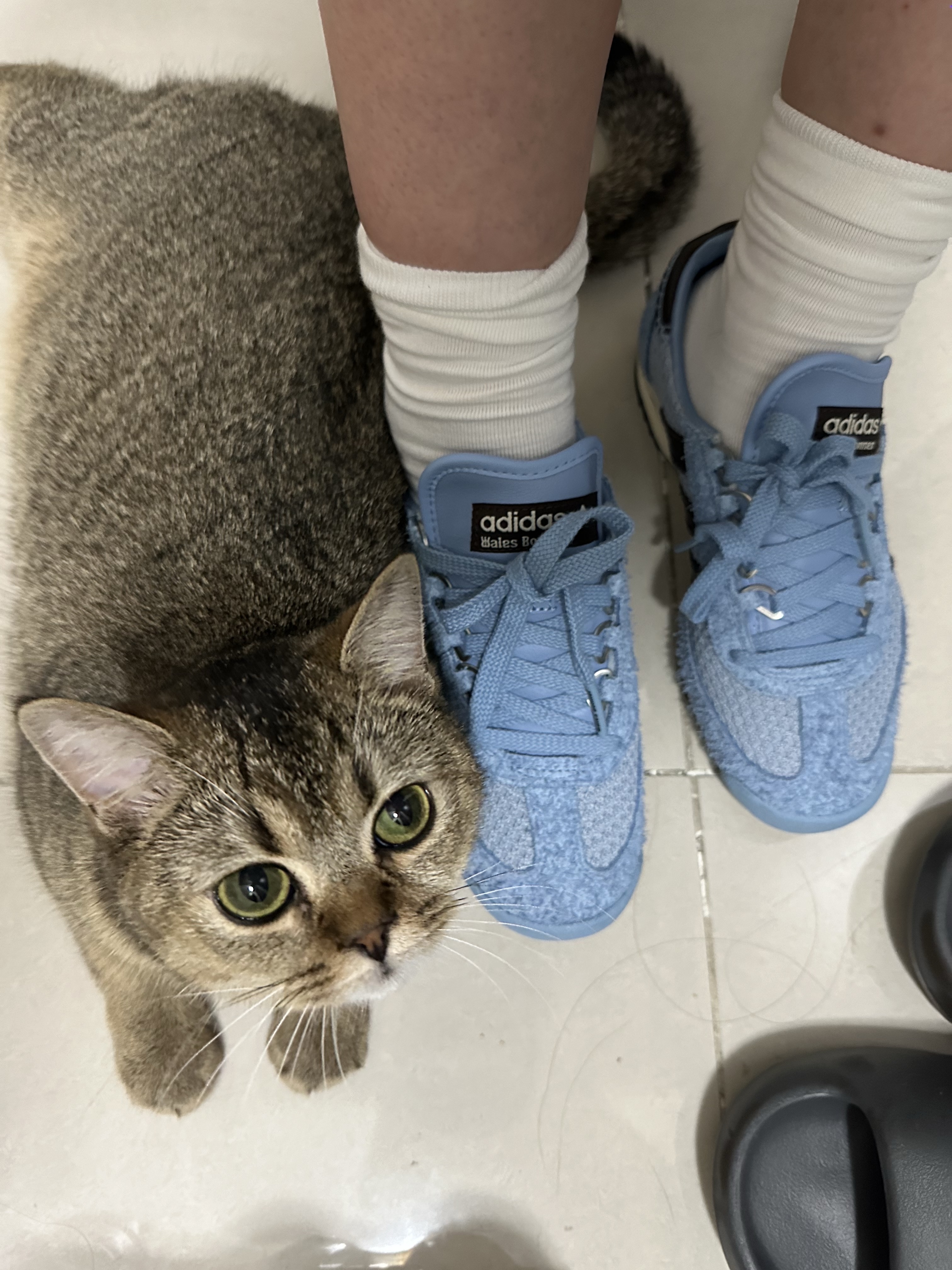 Adidas x Wales Bonner SL 76 Ash Blue Core Black, Supreme Military Camp Cap Light Blue - 24SS 착용 스타일 - 2