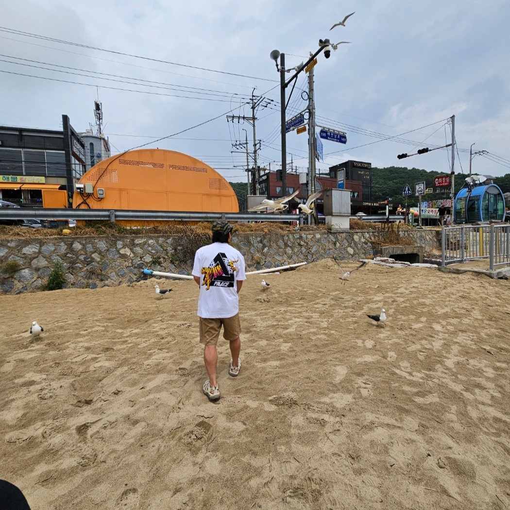 Hoka Hopara Shifting Sand Dune, Supreme Military Camp Cap Olive Tiger Camo - 24SS 착용 스타일 - 2