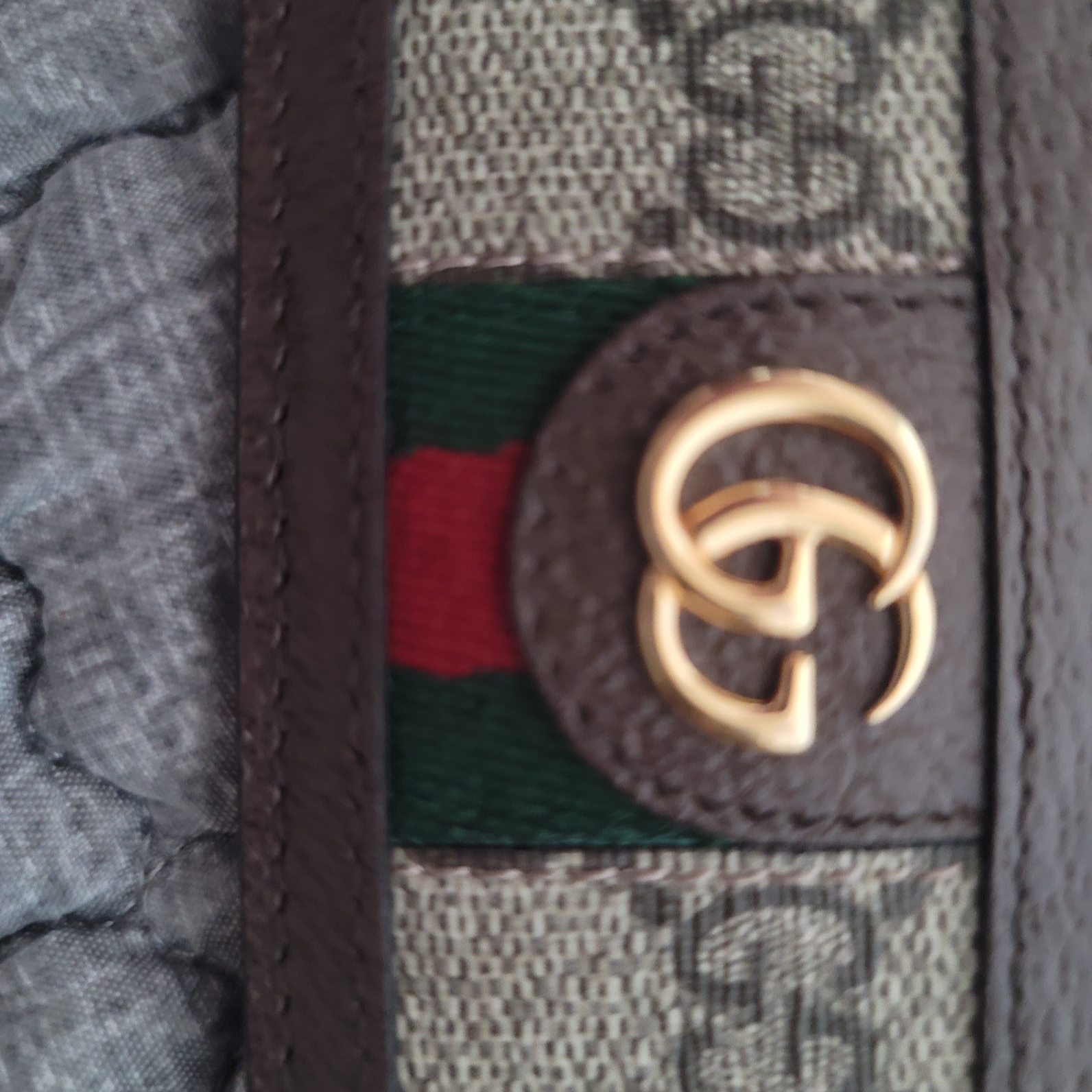 Gucci Ophidia GG Card Case Beige Ebony 착용 스타일