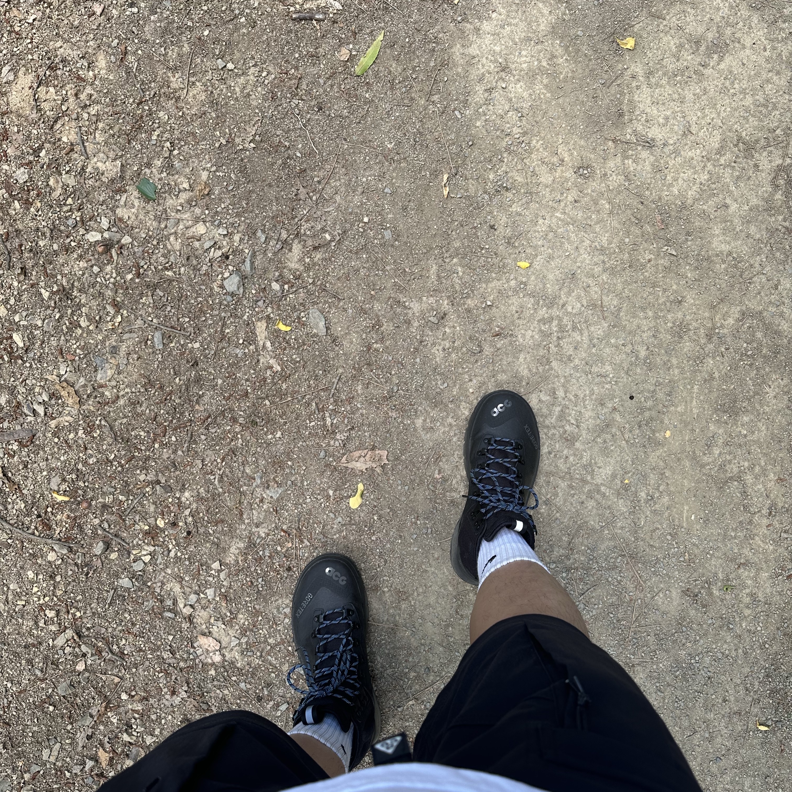 Nike ACG Air Zoom Gaiadome Gore-Tex Black, Nike ACG Smith Summit Cargo Pants Black Anthracite - Asia 착용 스타일