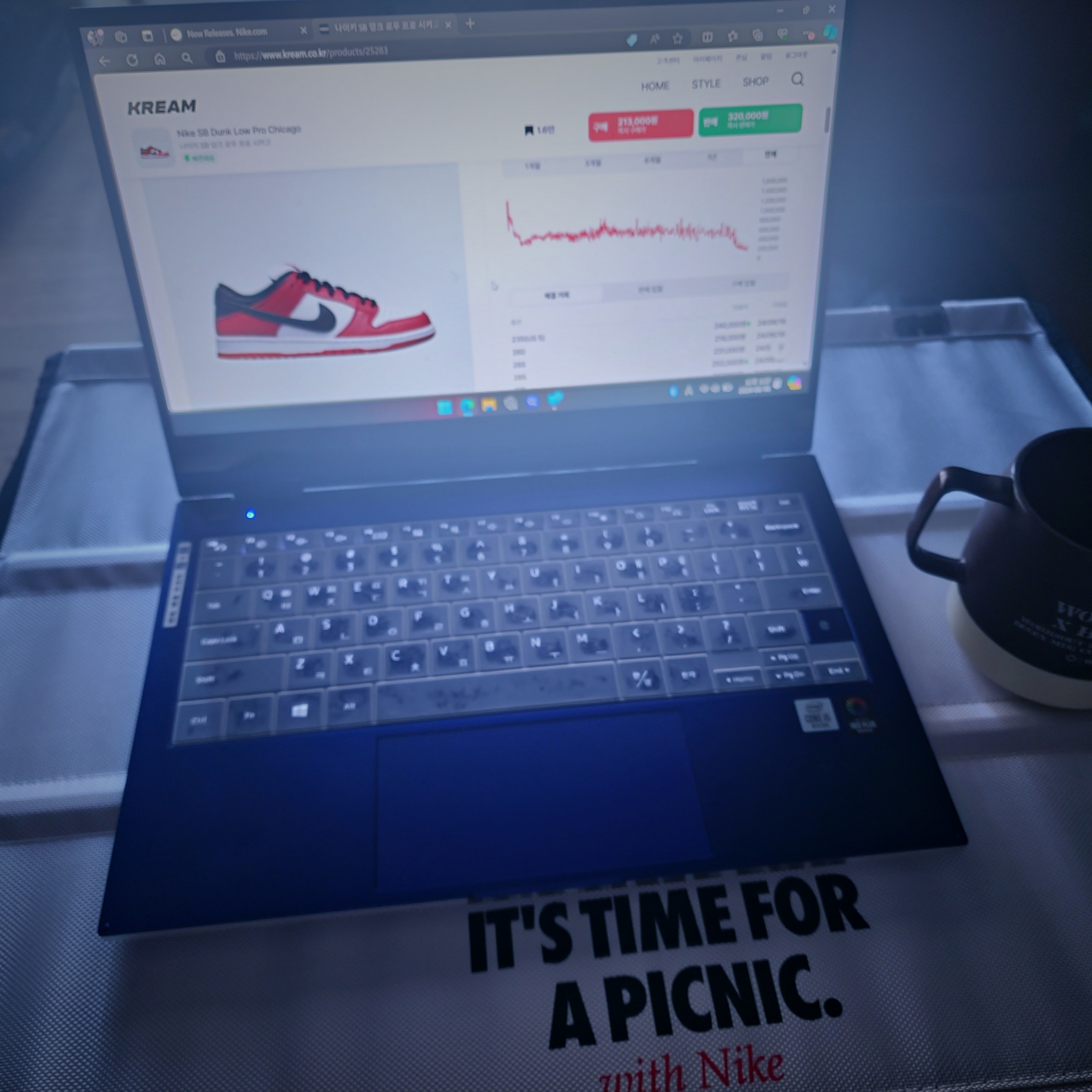 Nike Members Days Daily Check-In Gift Set Picnic Mat & Picnic Table & Table Mat (6700 Limited) 착용 스타일 - 2