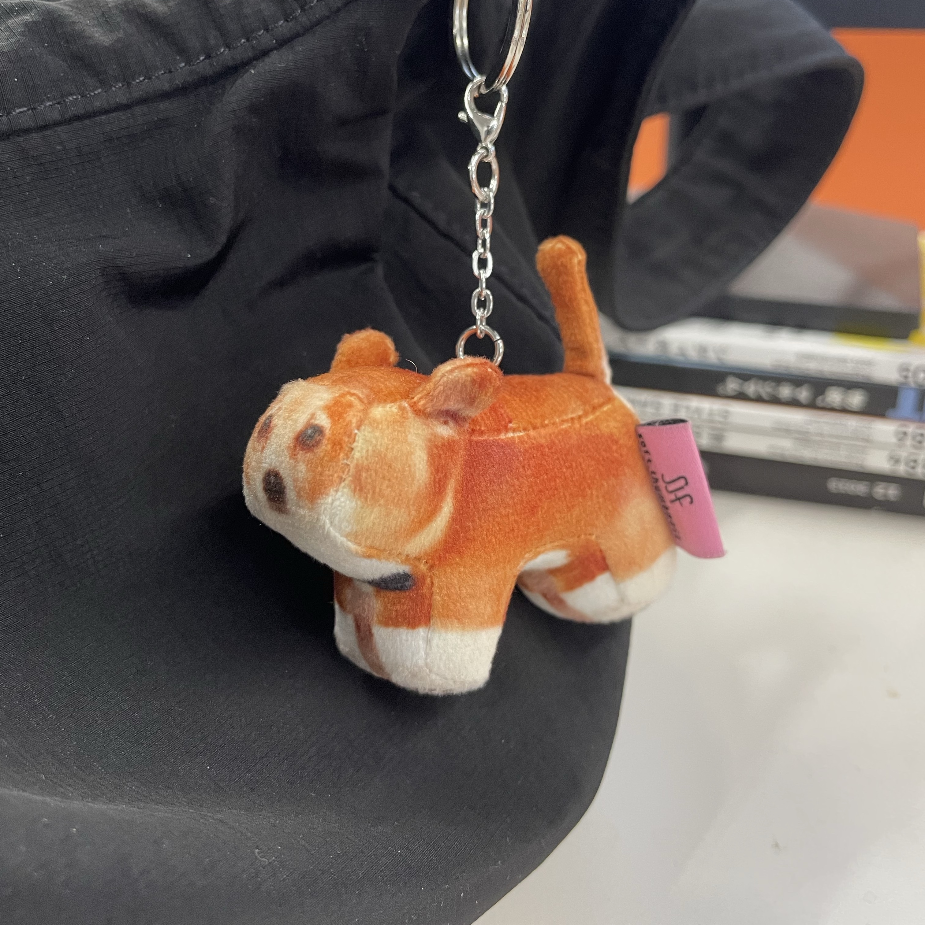 SJF x Soft Thumbnail Bom, Basenji 착용 스타일