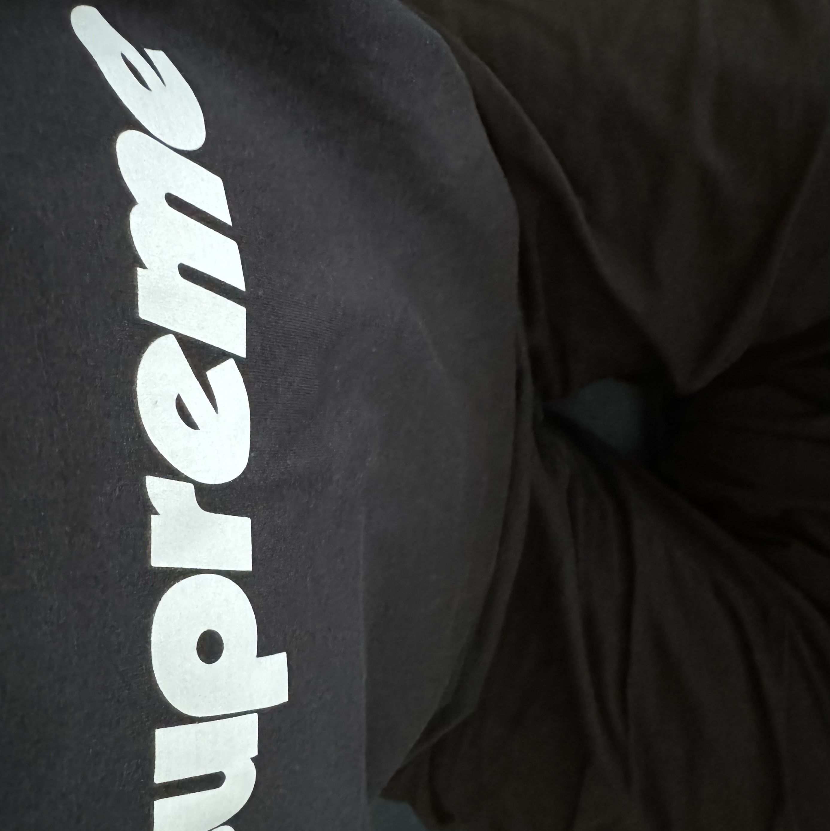 Supreme Pinline T-Shirt Black - 24SS 착용 스타일