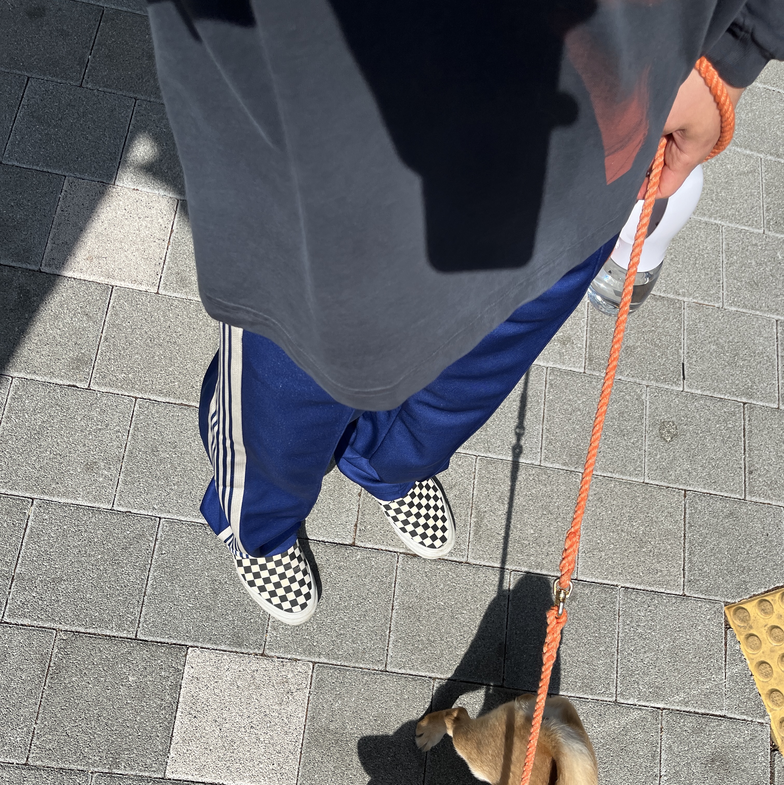 Needles Track Pants Poly Smooth Royal 착용 스타일 - 2