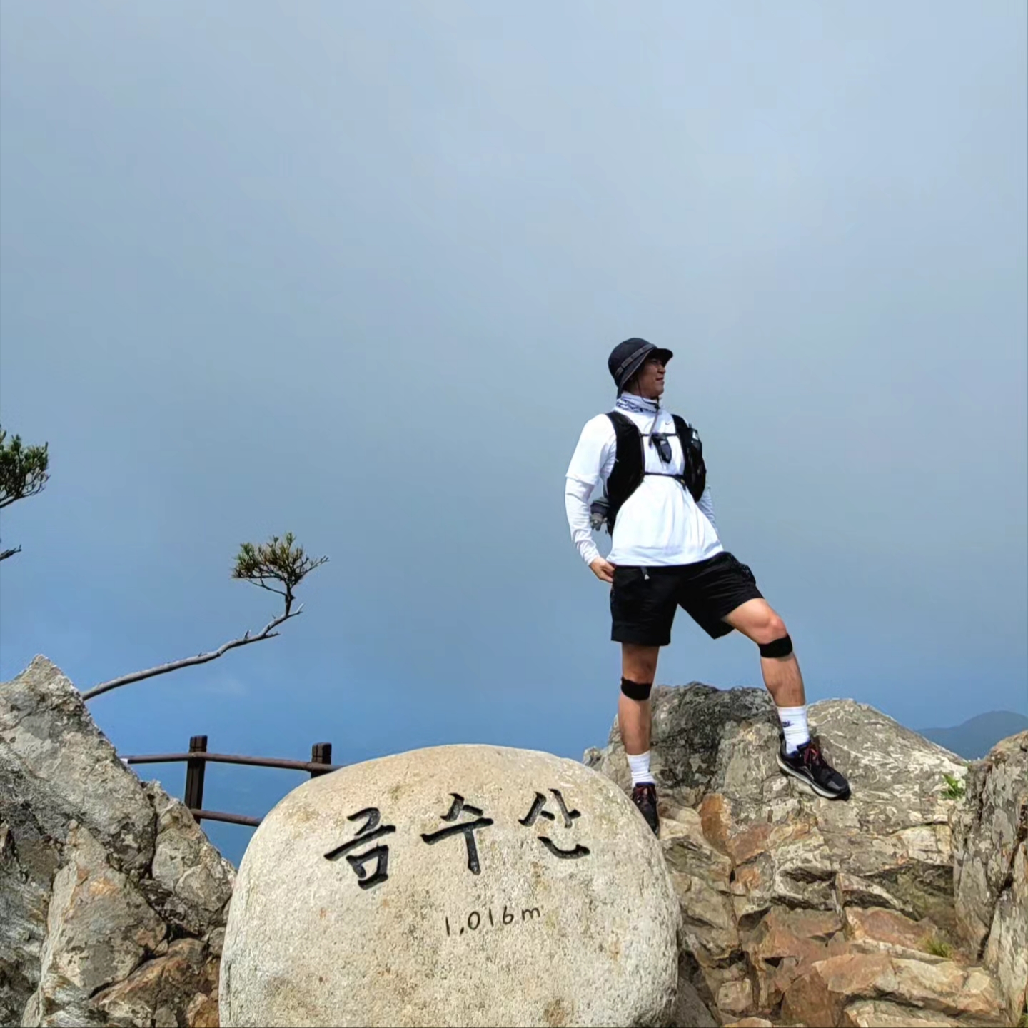 Nike ACG Snowgrass Cargo Shorts Black - Asia 착용 스타일