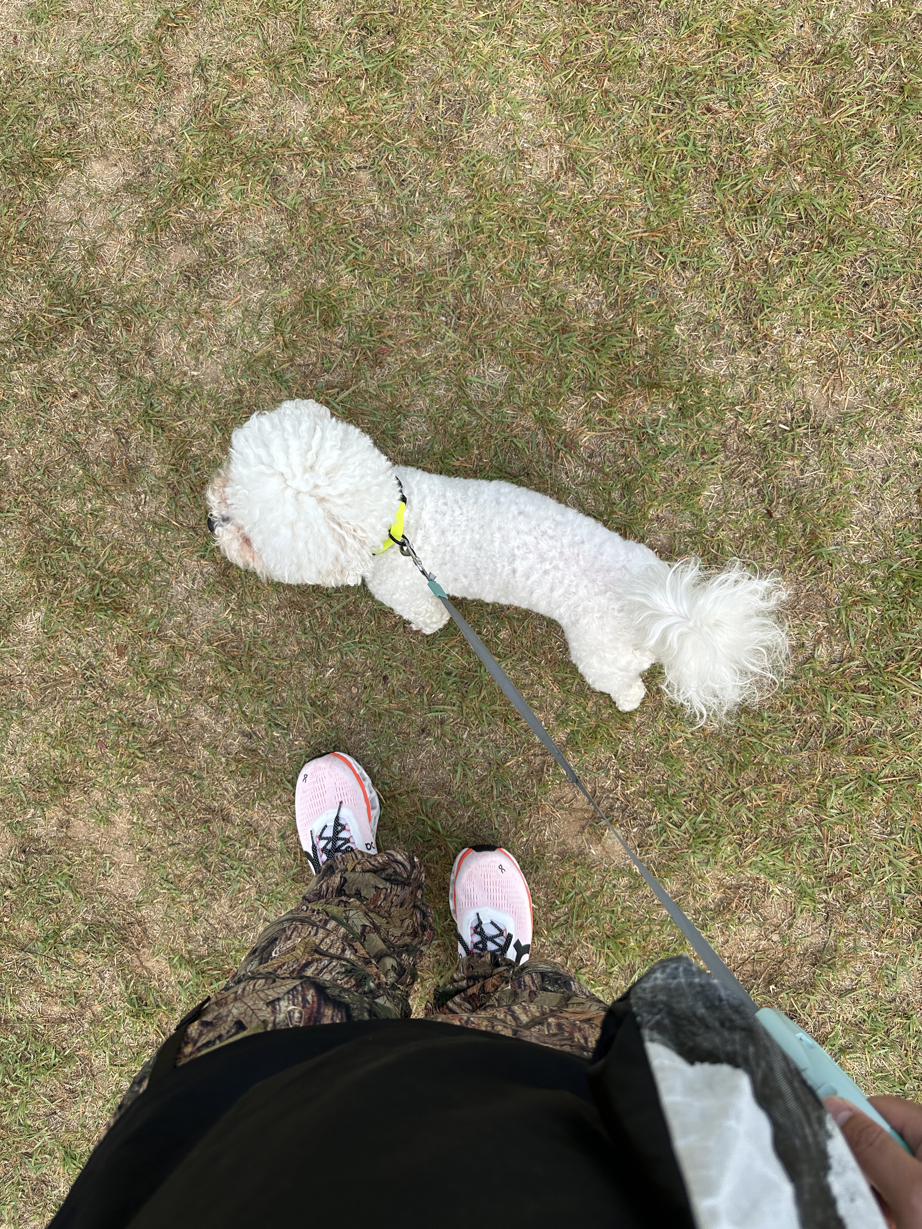 On Running Cloudmonster Undyed White Flame 착용 스타일