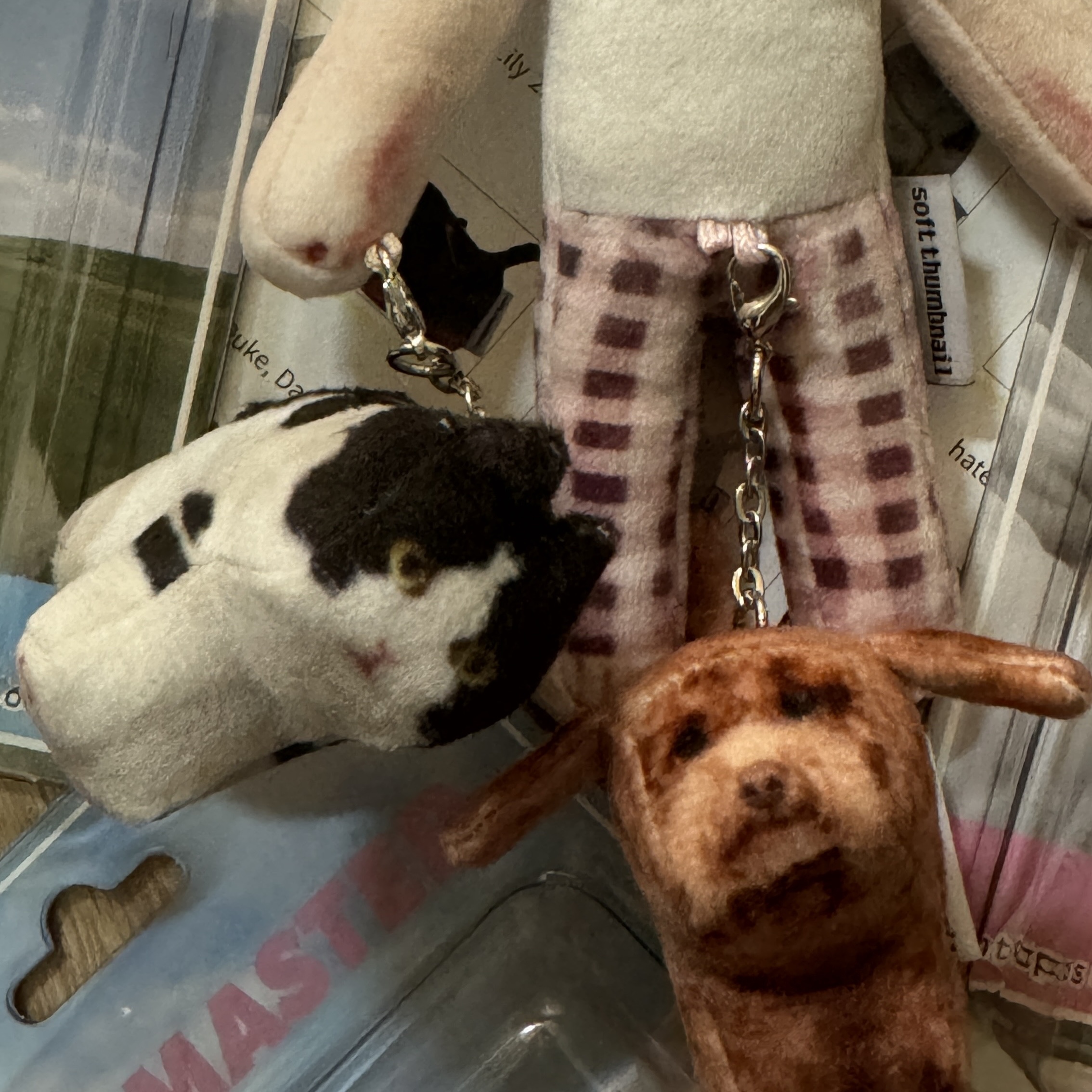 Soft Thumbnail Kotone 26, Cat Lover, Soft Thumbnail Mumu, Domestic Shorthair 착용 스타일 - 2