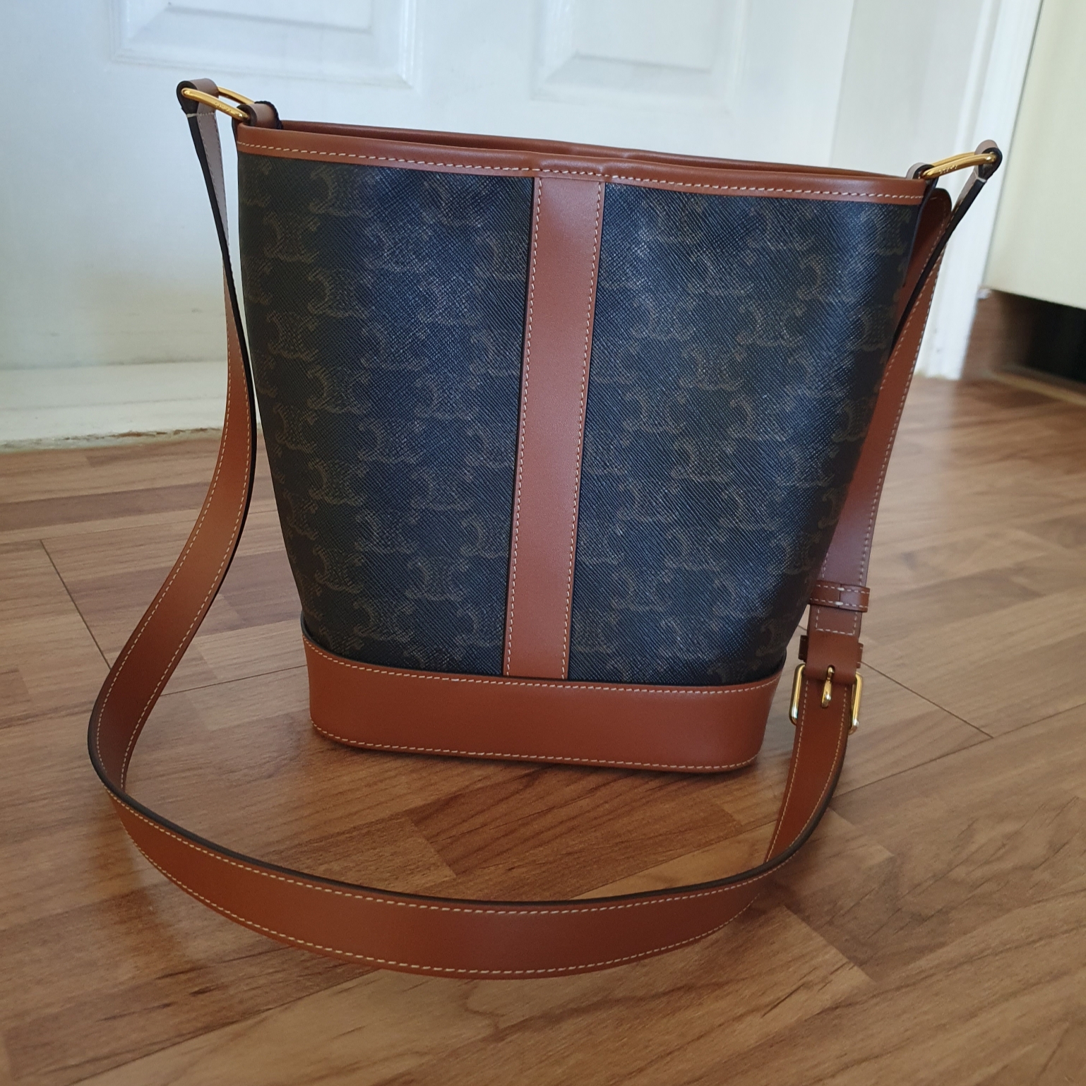 Celine Small Bucket in Triomphe Canvas and Calfskin Tan 착용 스타일