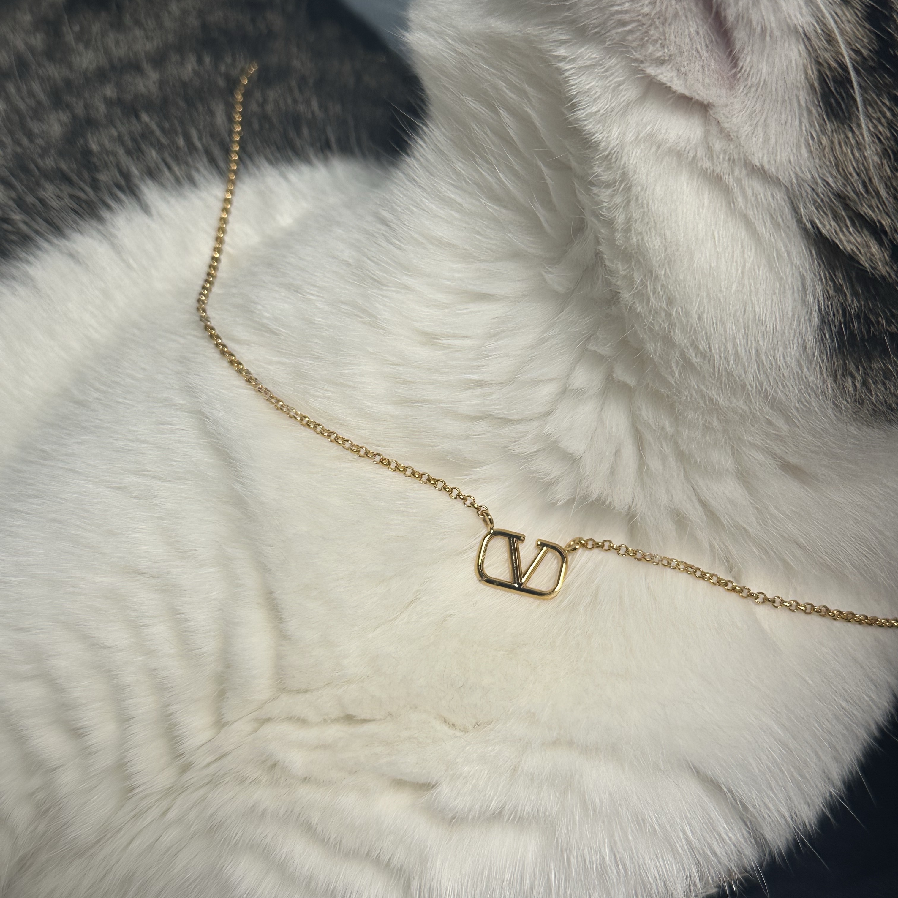 Valentino V Logo Necklace Gold 착용 스타일 - 2