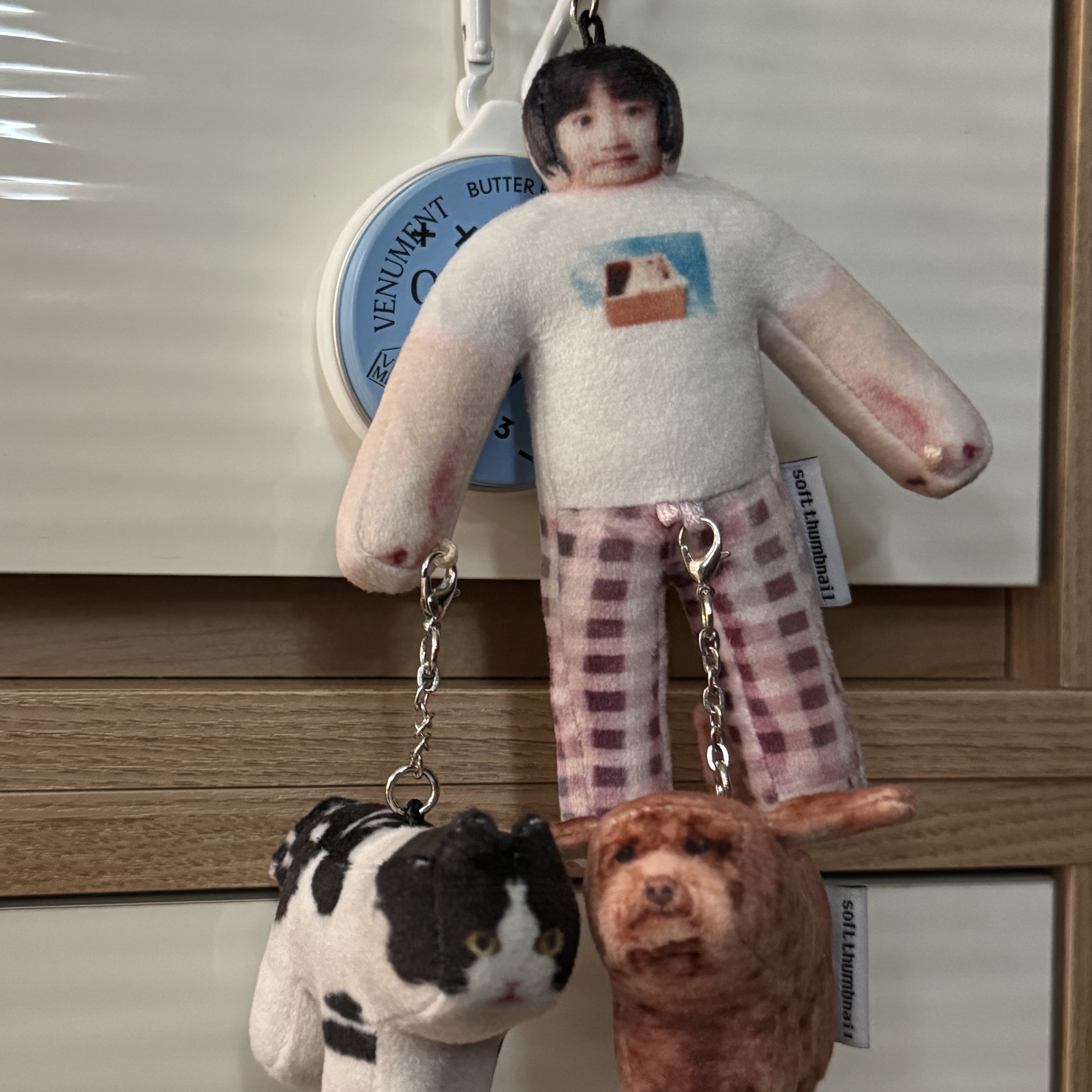 Soft Thumbnail Kotone 26, Cat Lover, Soft Thumbnail Mumu, Domestic Shorthair 착용 스타일 - 1