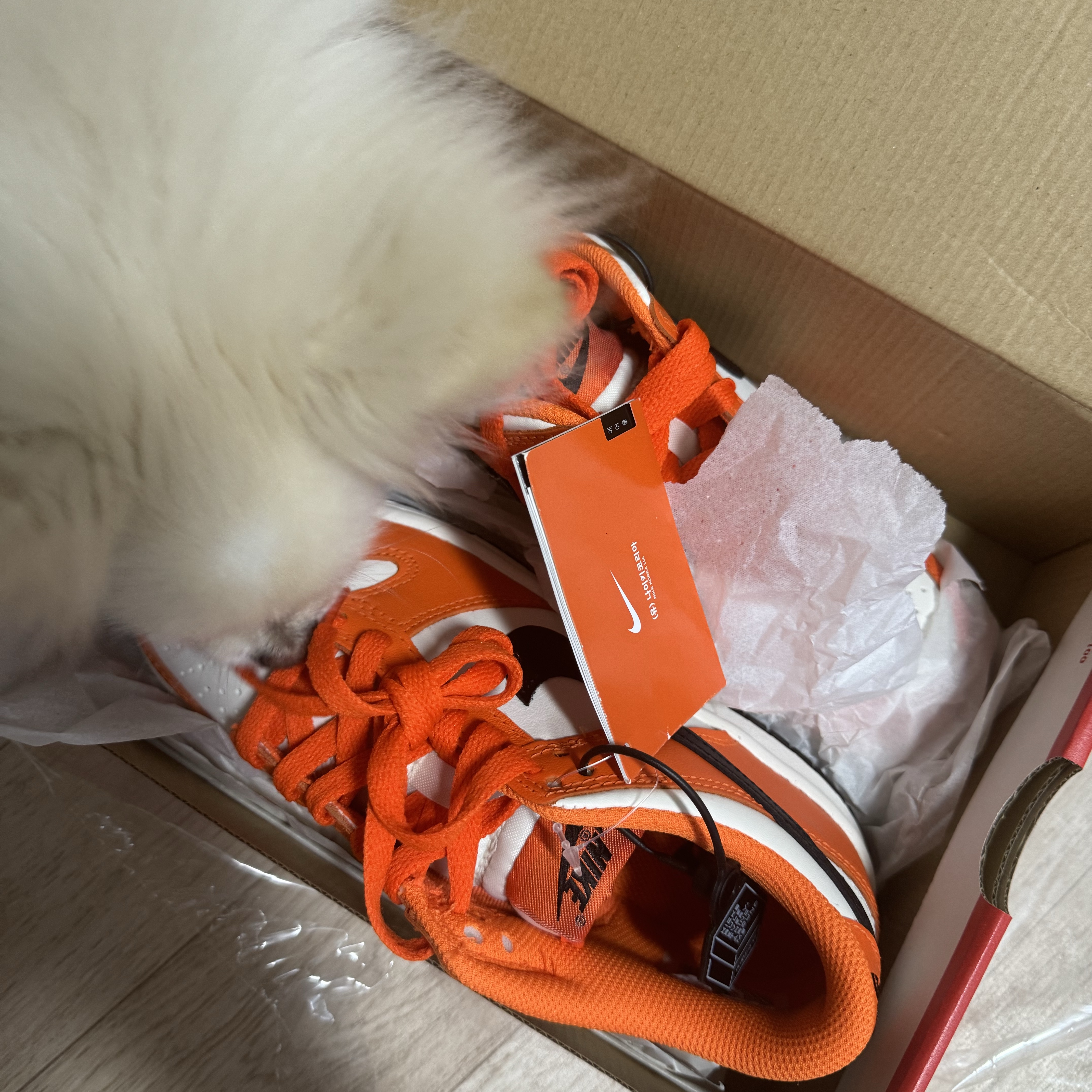 (GS) Nike Dunk Low Safety Orange 착용 스타일