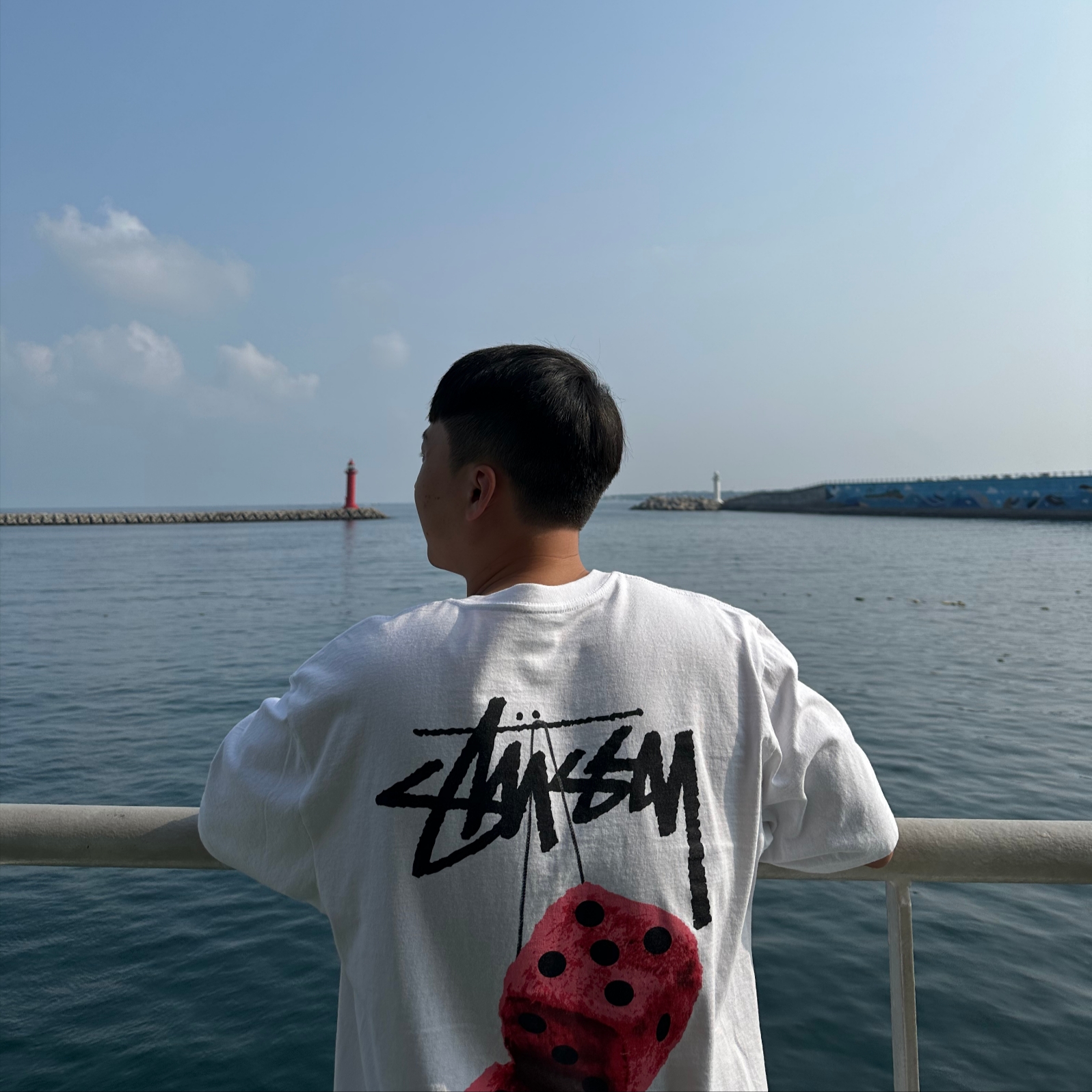 Stussy Fuzzy Dice T-Shirt White 착용 스타일