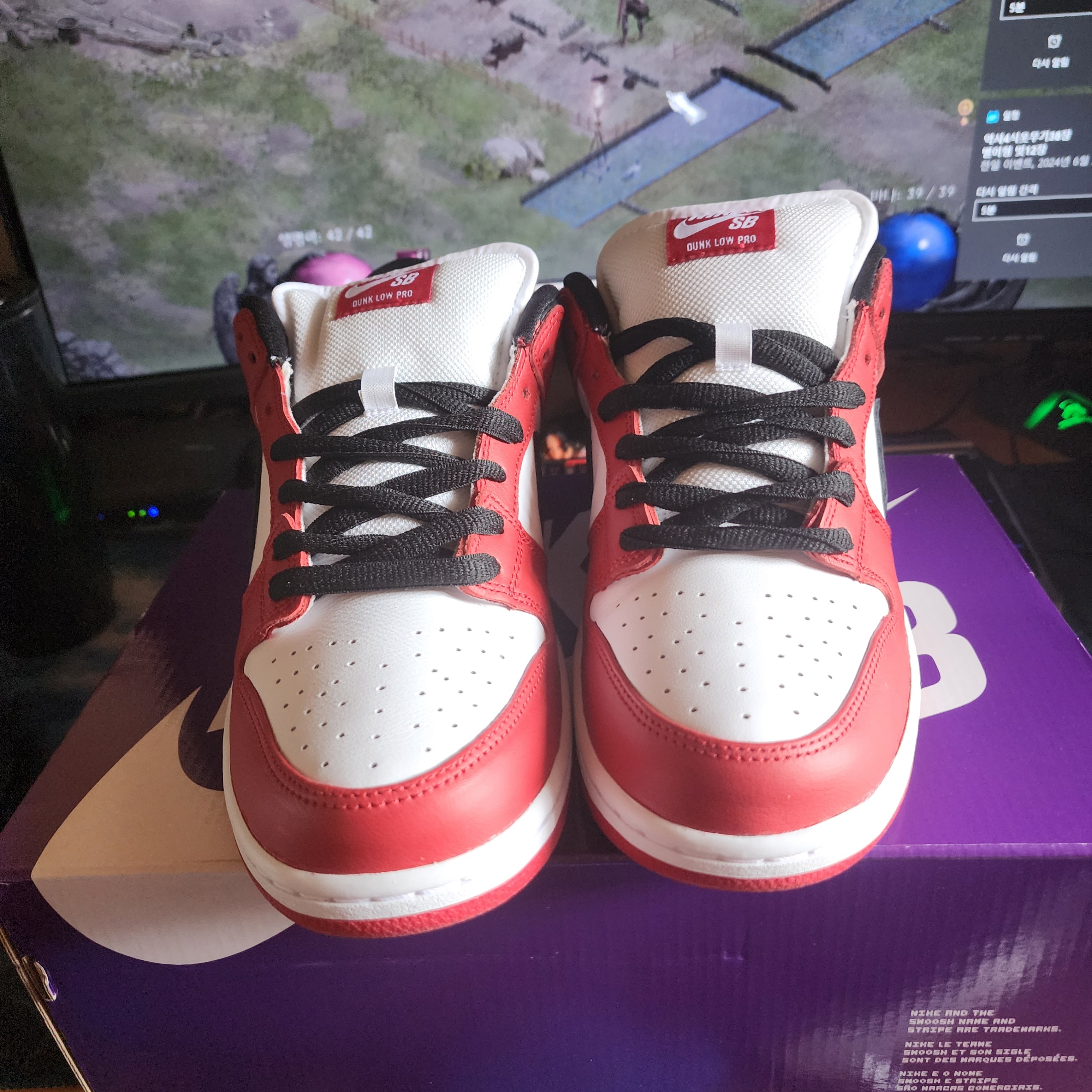 Nike SB Dunk Low Pro Chicago 착용 스타일 - 1