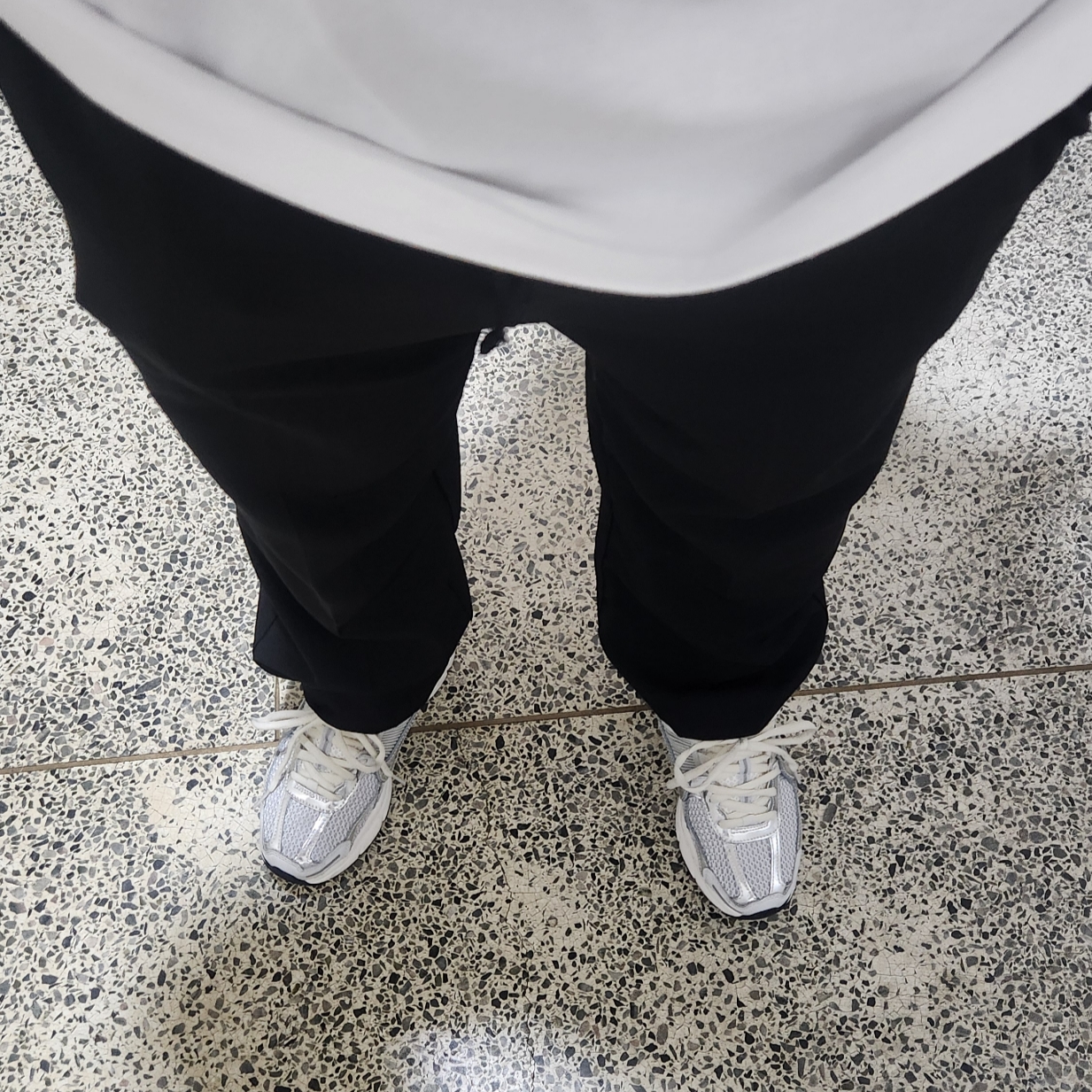 (W) Nike Zoom Vomero 5 Photon Dust and Metallic Silver 착용 스타일